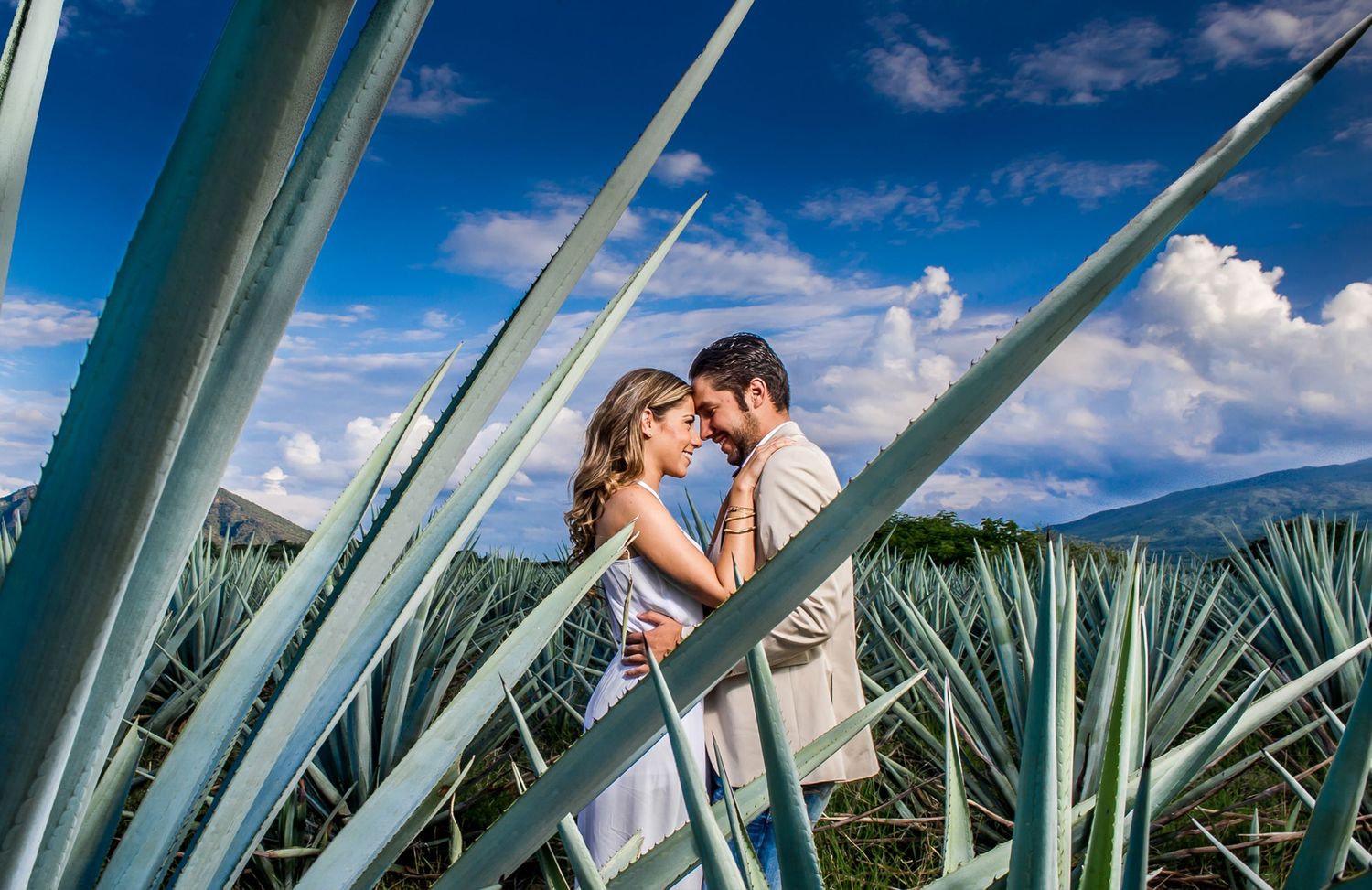 Couple sharing a romantic moment in a blue agave field under a vibrant cloudy sky in Mexico.
