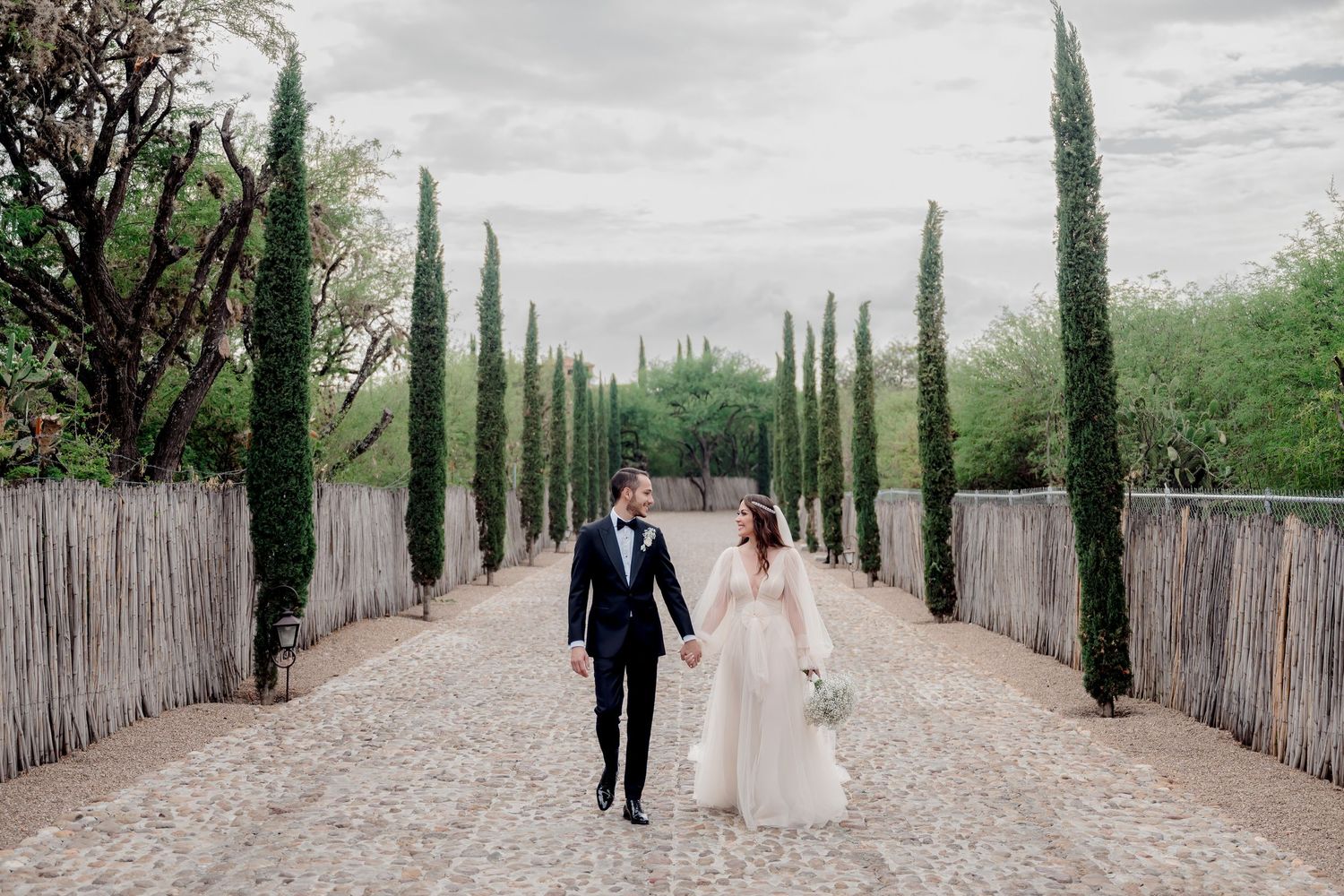Wedding couple walking along a cypress tree-lined path with rustic wooden fencing in Tuscany.