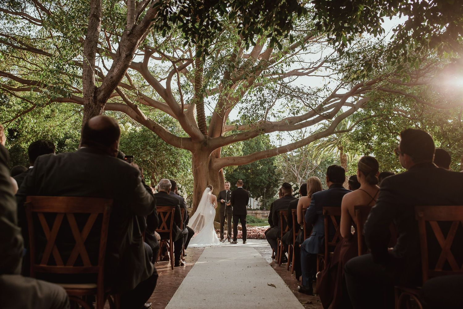 Outdoor wedding ceremony under a large tree with guests seated in wooden chairs along a white aisle.