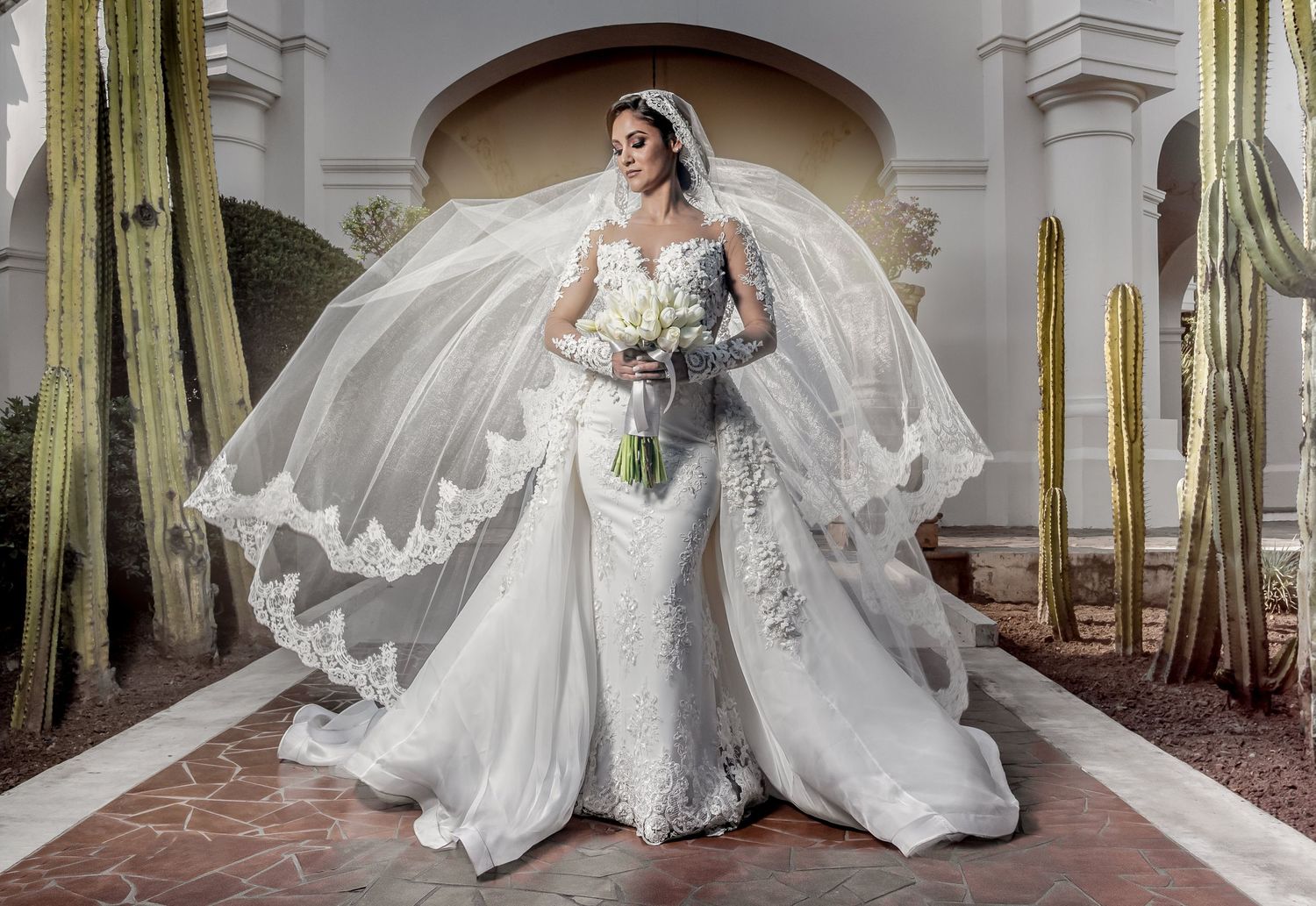 A bride in a luxurious lace wedding gown with cathedral veil poses against a backdrop of tall cacti.