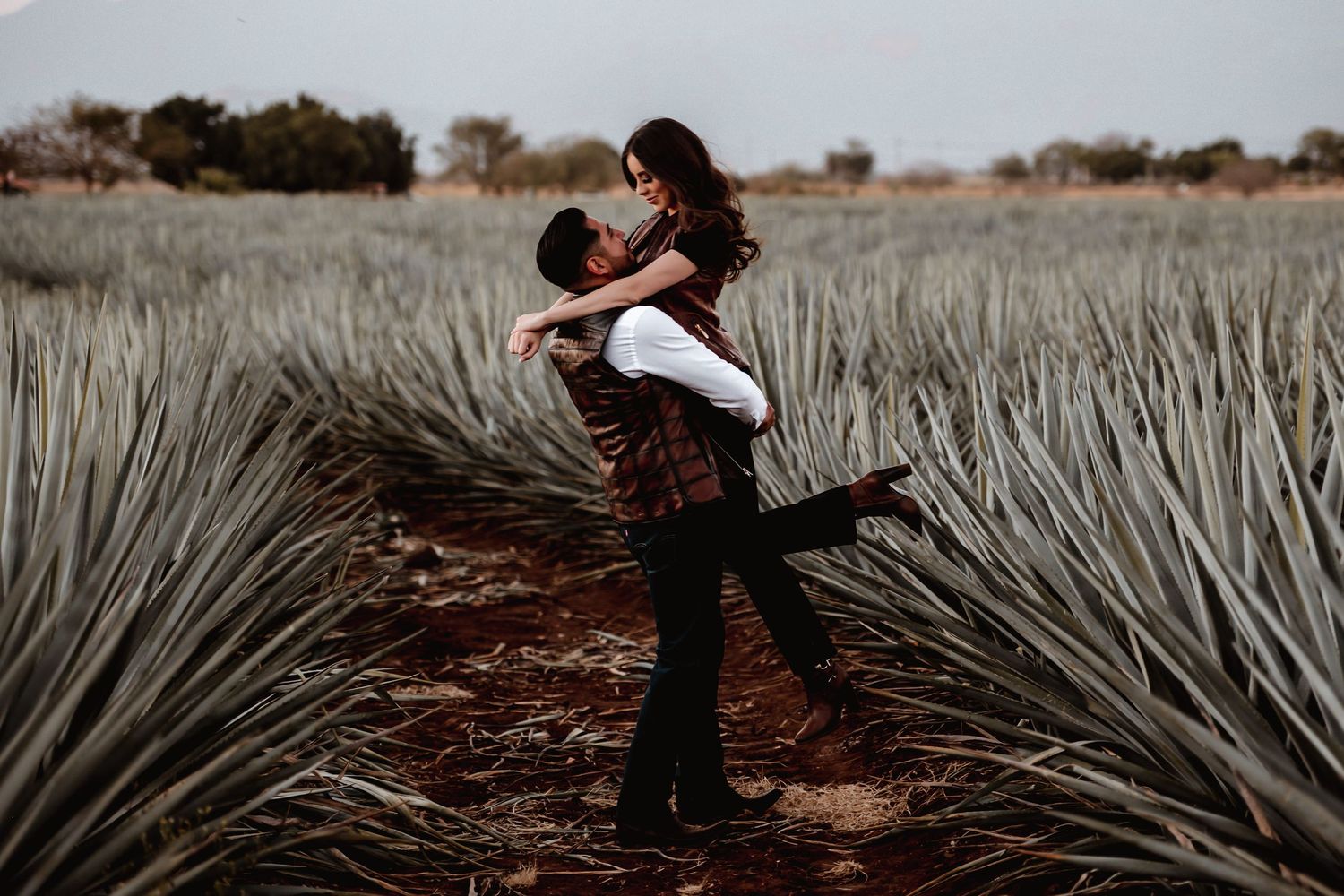 Couple embracing romantically in an agave field, man lifting woman among rows of blue agave plants.