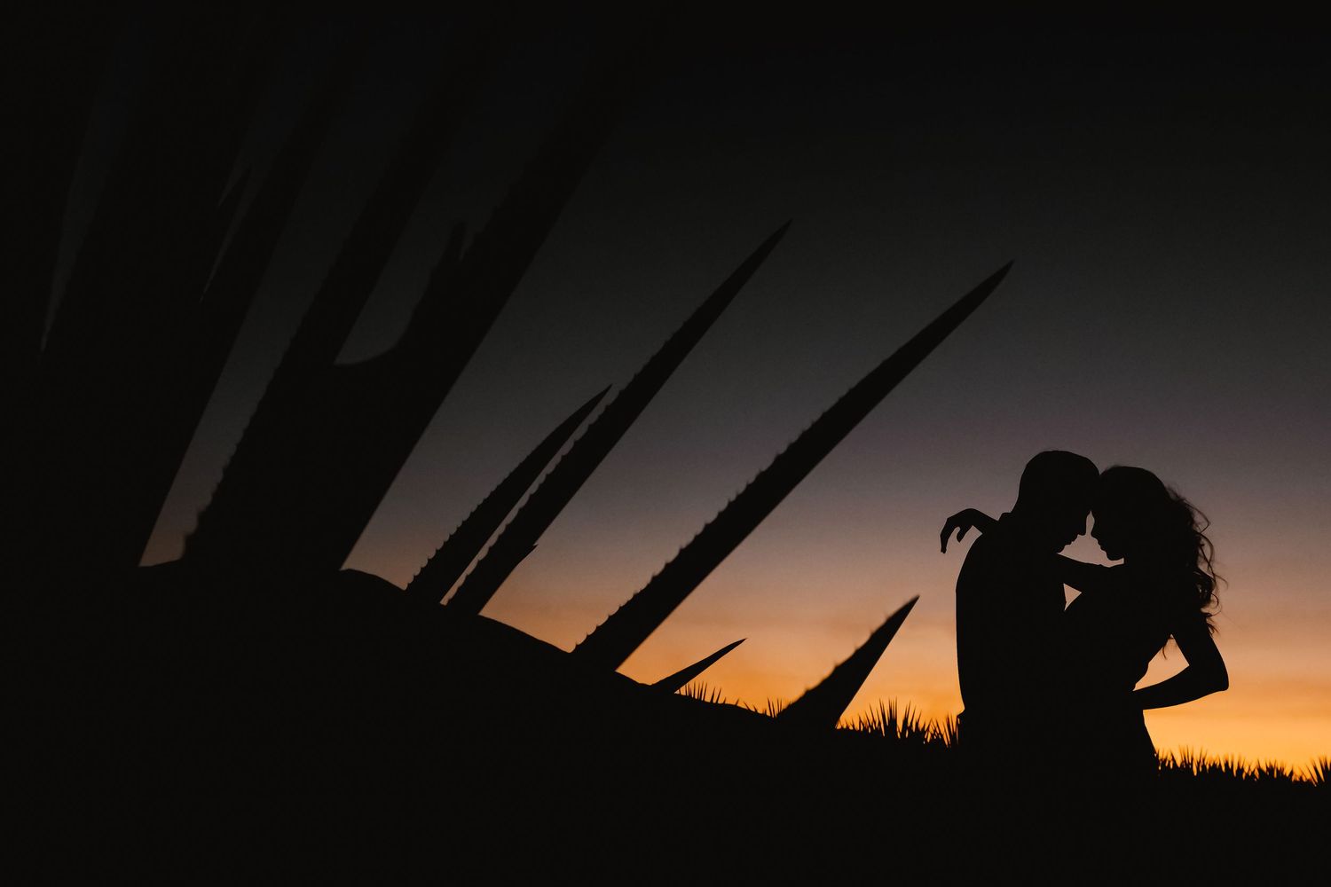 Romantic couple silhouette kissing at sunset with dramatic agave plants framing the scene.