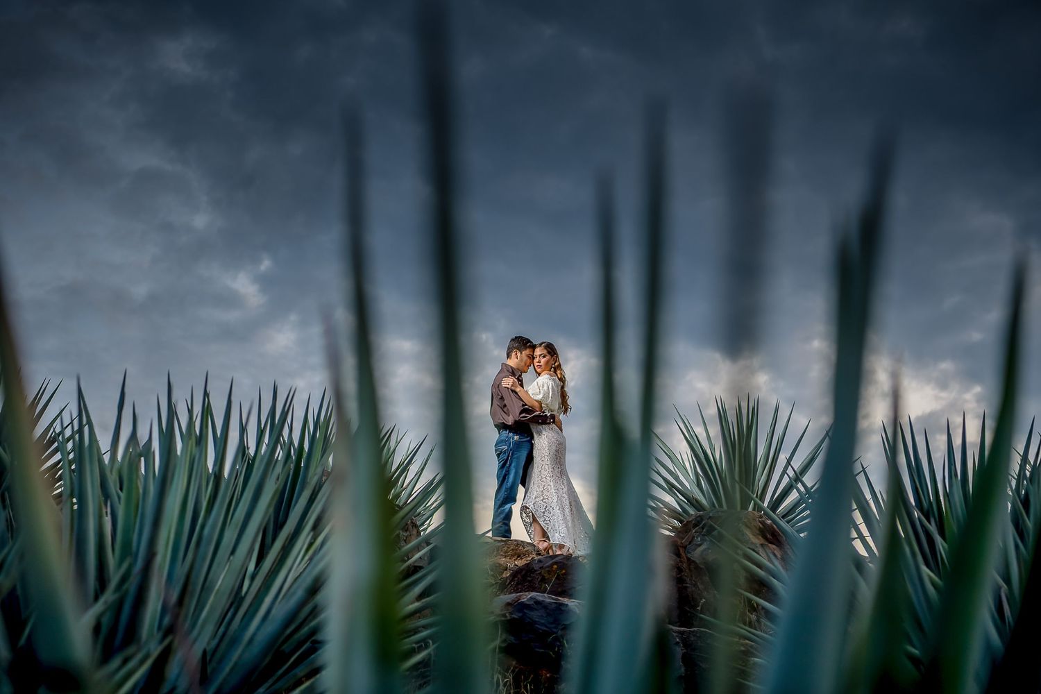 Couple embracing in agave field under dramatic stormy sky, framed by spiky plants in romantic wedding photo.