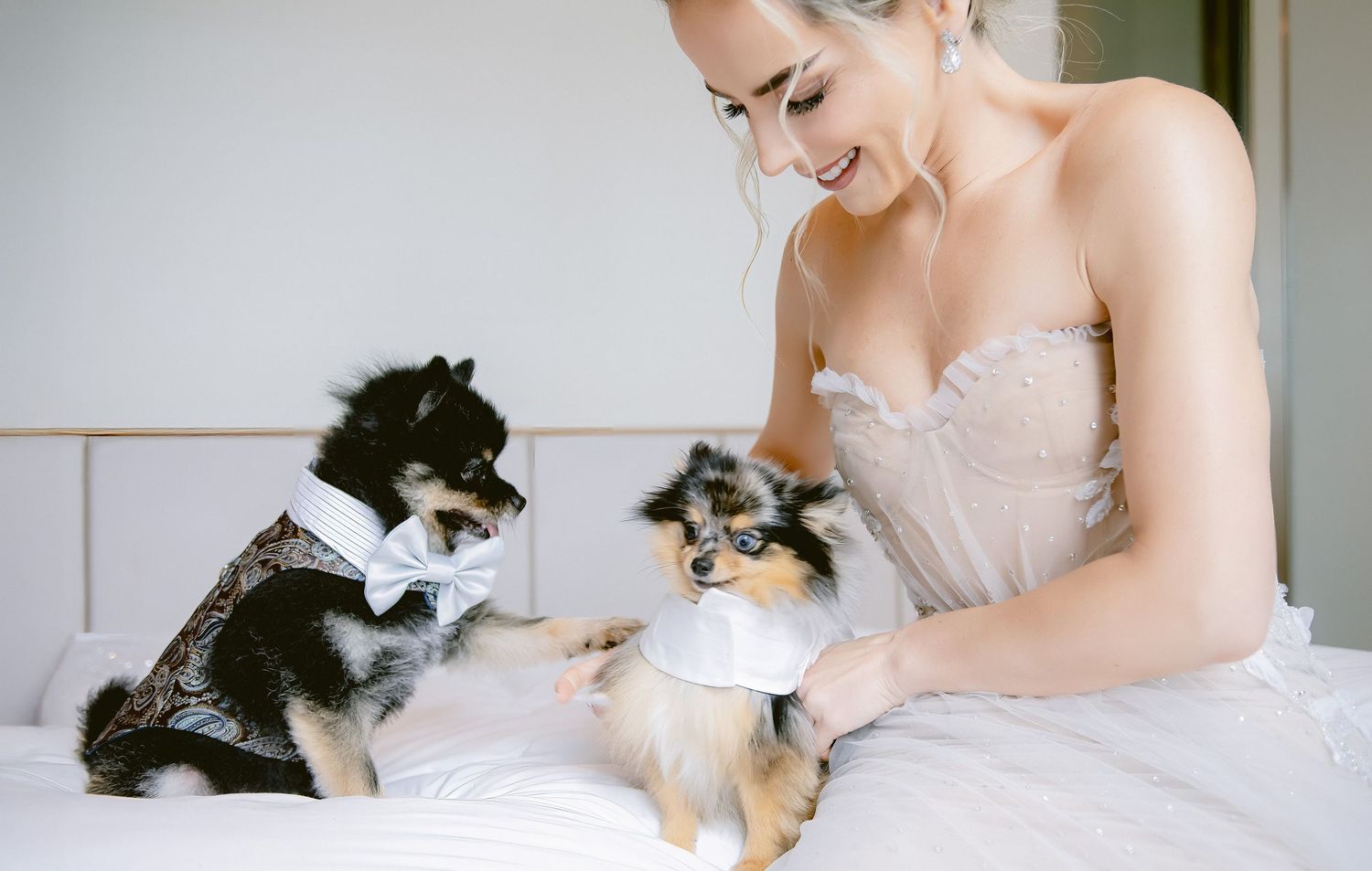 Wedding dress detail shot with playful cats on white bedding.