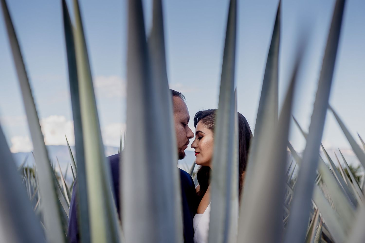 Romantic wedding couple sharing an intimate moment framed by agave plants against a blue sky.