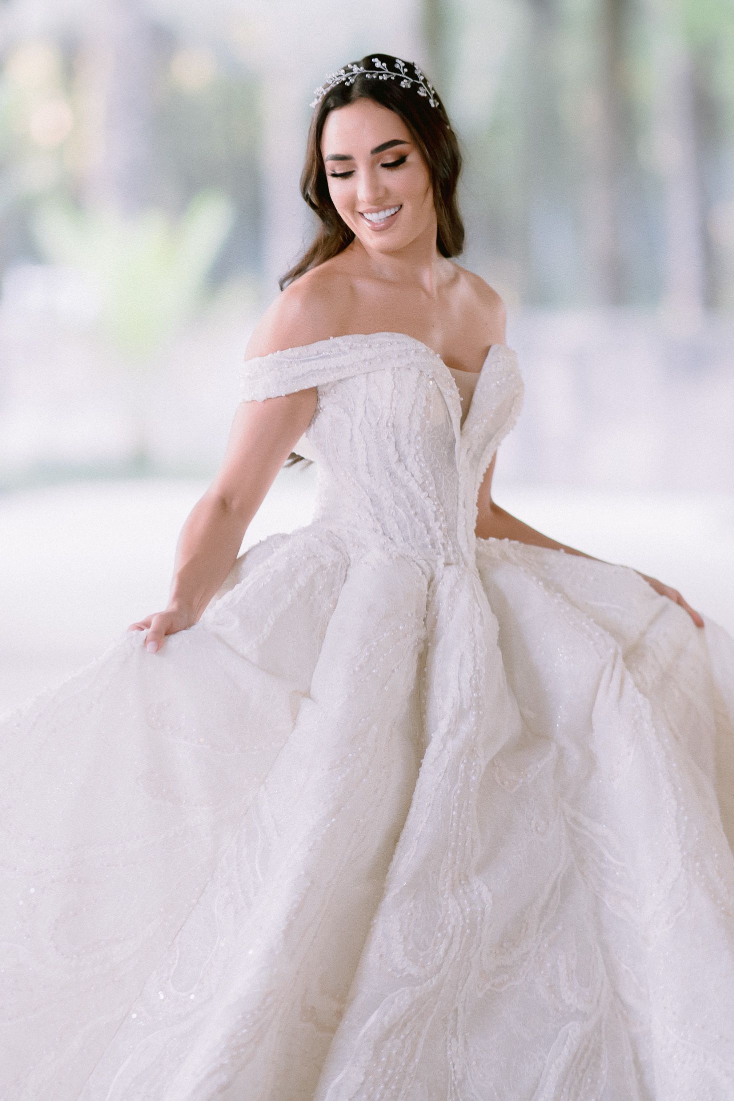 Classic princess wedding dress with detailed lace bodice and off-shoulder neckline.