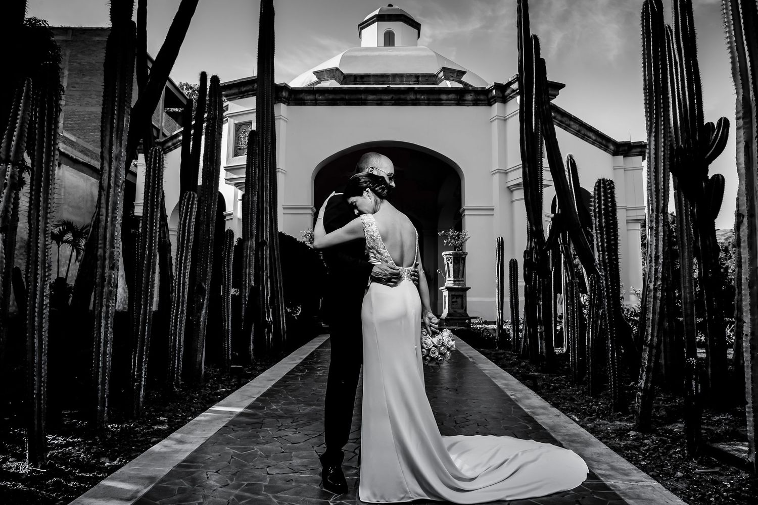 Dramatic black and white wedding photo taken between vineyard rows.