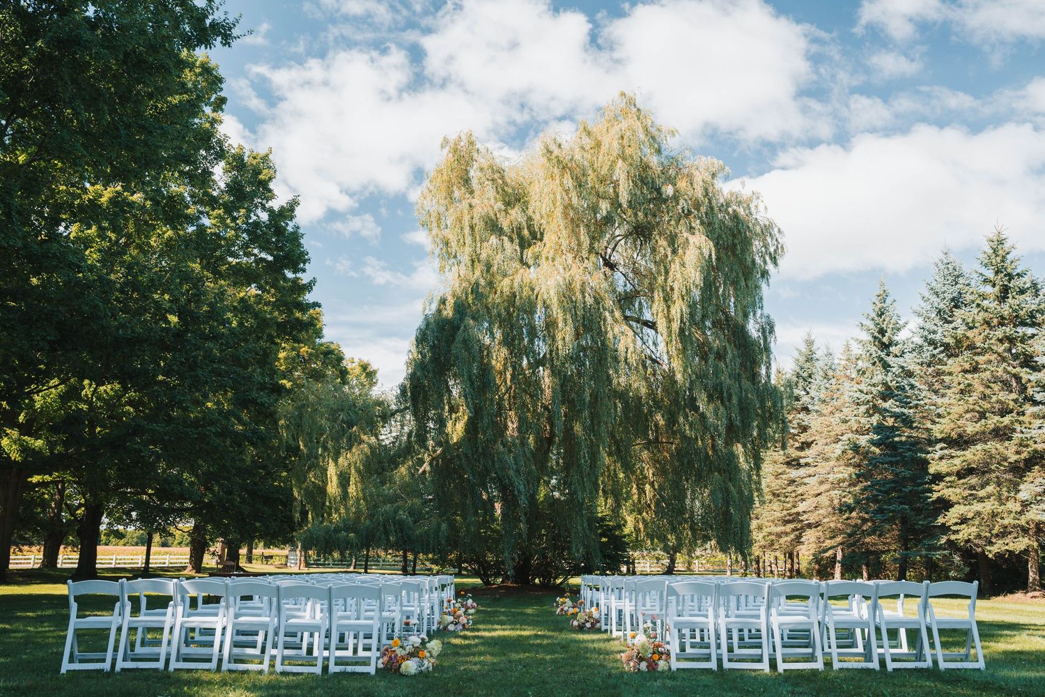 White folding chairs arranged for an outdoor wedding ceremony under a majestic weeping willow tree on a sunny day.