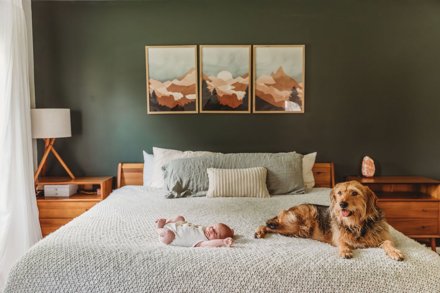 Bedroom interior with dog on bed, featuring mountain artwork and modern decor.