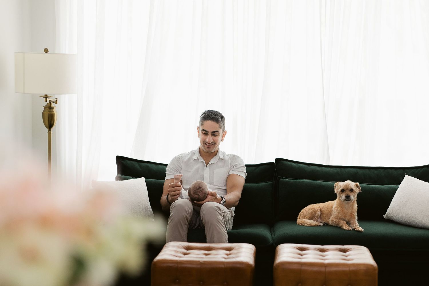Modern living room interior with dark green couch and small dog resting.