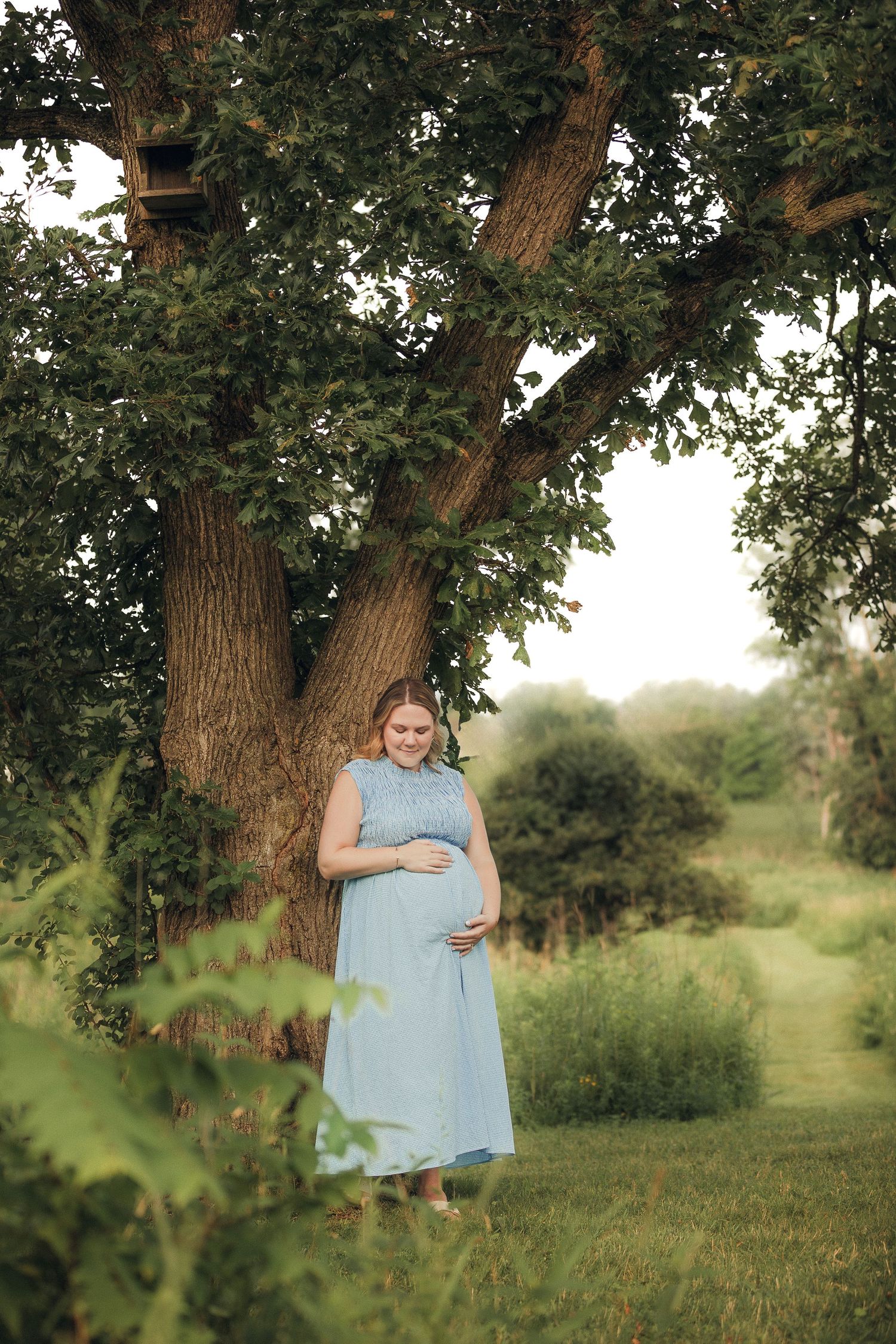Woman in blue dress poses under majestic oak tree in summer meadow.