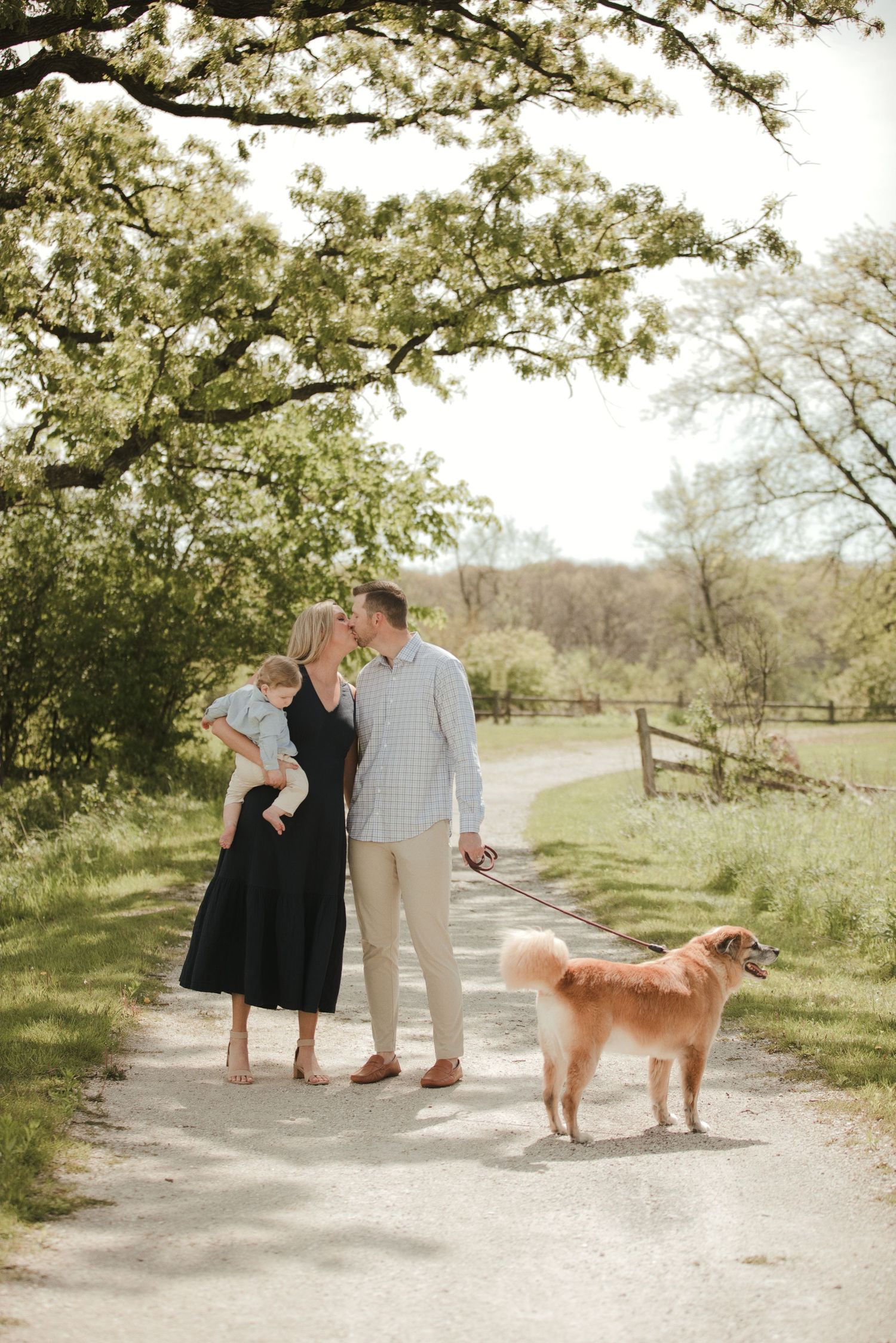 A couple kisses while holding a baby and walking a golden retriever on a scenic park path lined with trees.