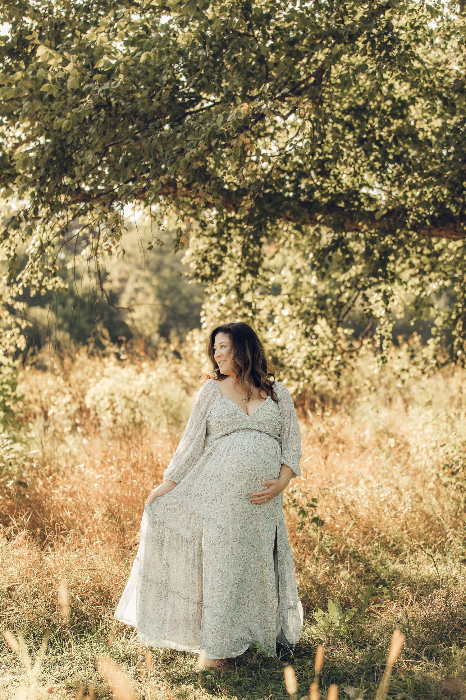 Expectant mother in flowing dress stands in golden sunlit field beneath tree branches.