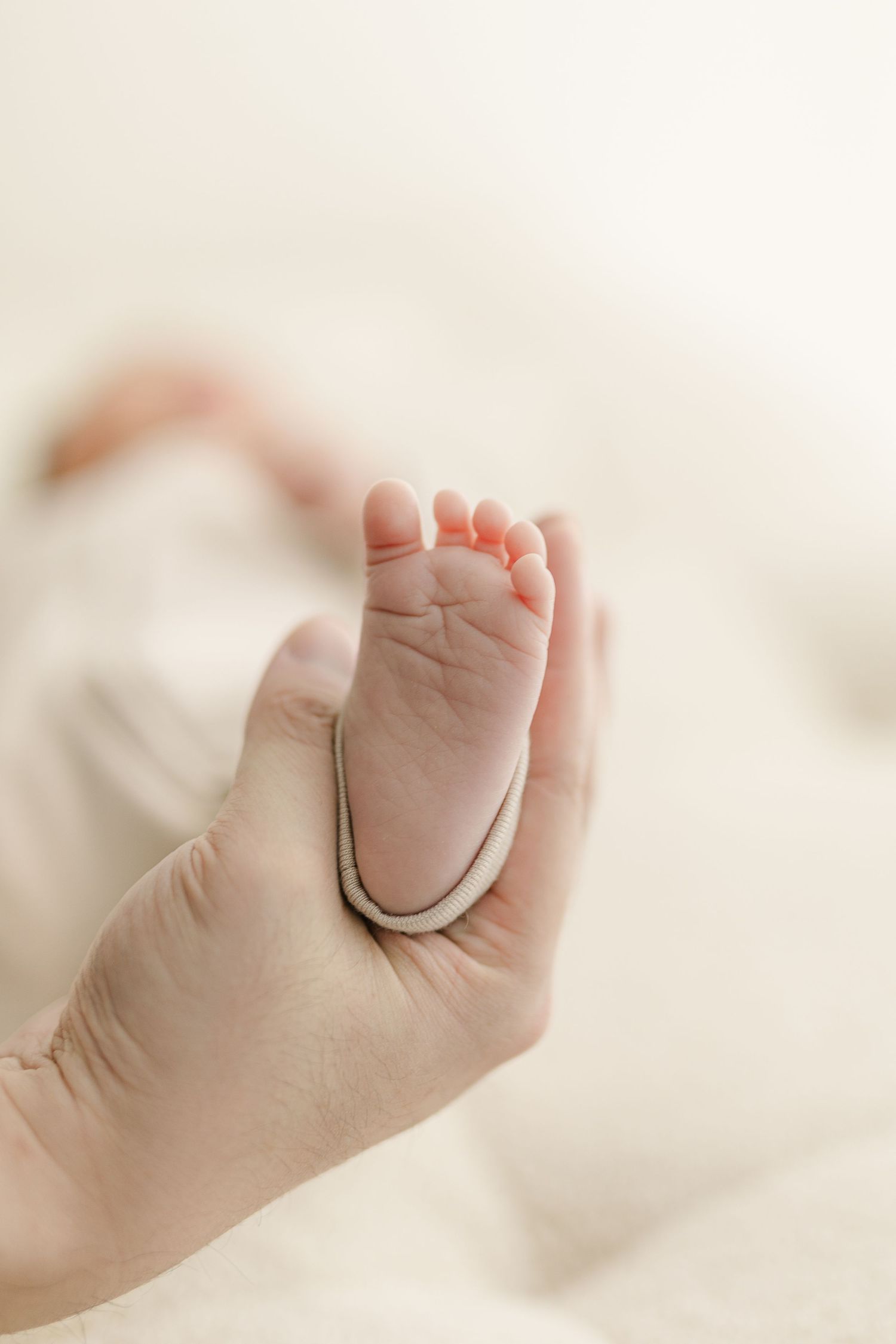 Close-up series of tiny newborn feet against white background.