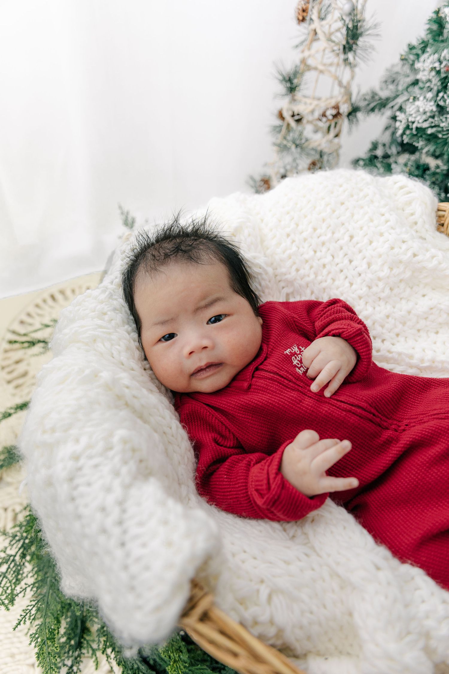 Baby wearing red sweater lying on white knit blanket with evergreen branches in holiday themed newborn photo.