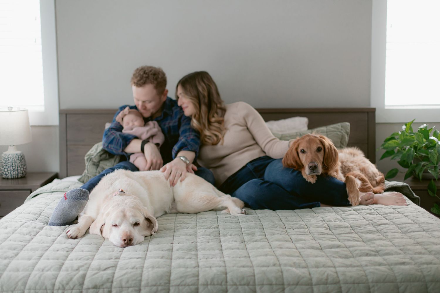 Dog and family relaxing together on gray quilted bedspread during casual photo session.