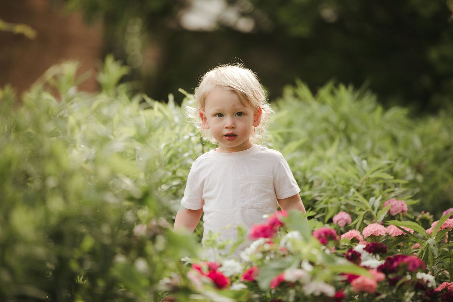 A young blonde toddler in a white t-shirt stands among lush green bushes and pink flowers in a garden.