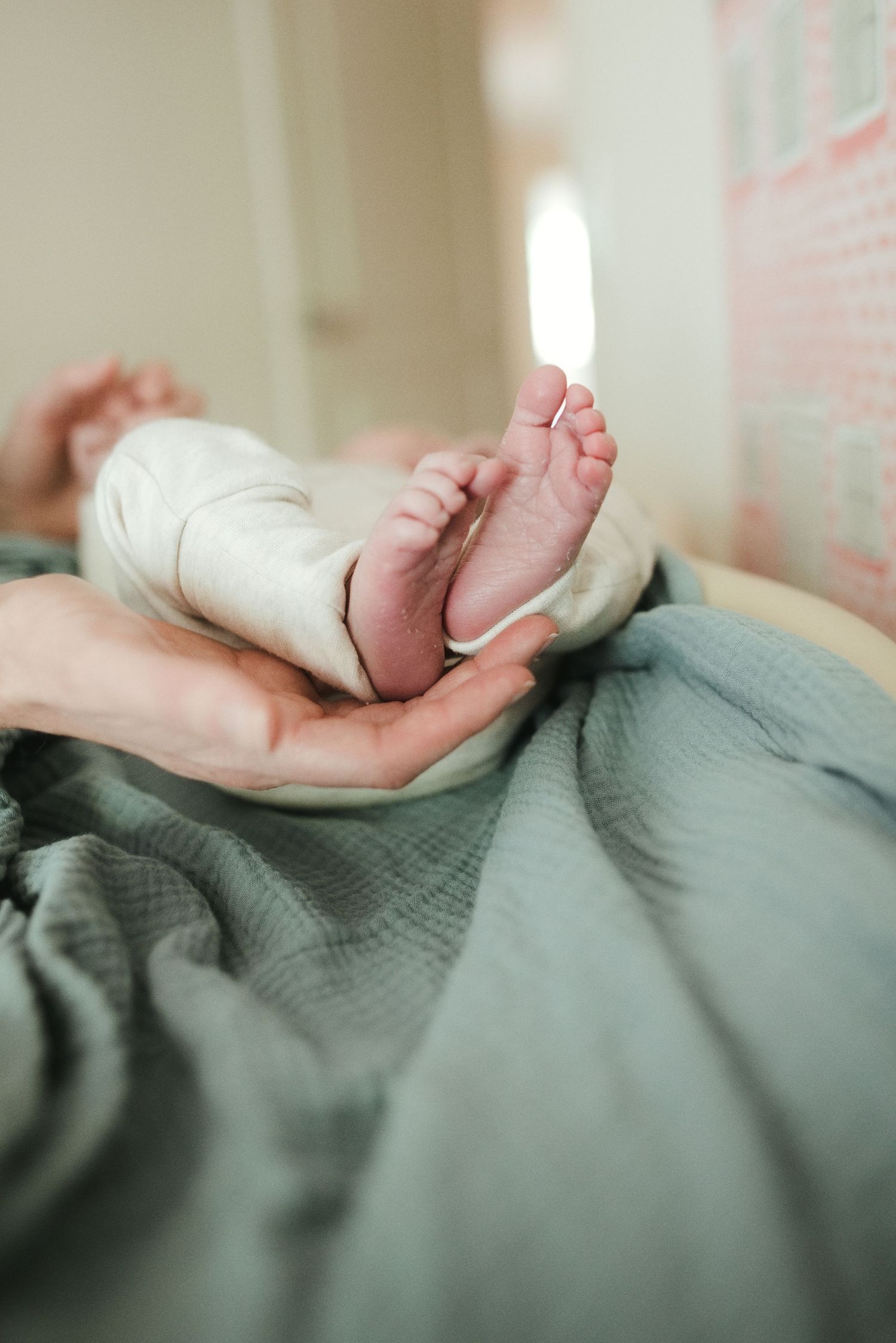Adult hands gently cradling tiny newborn baby feet on a soft sage green blanket in a cozy room.