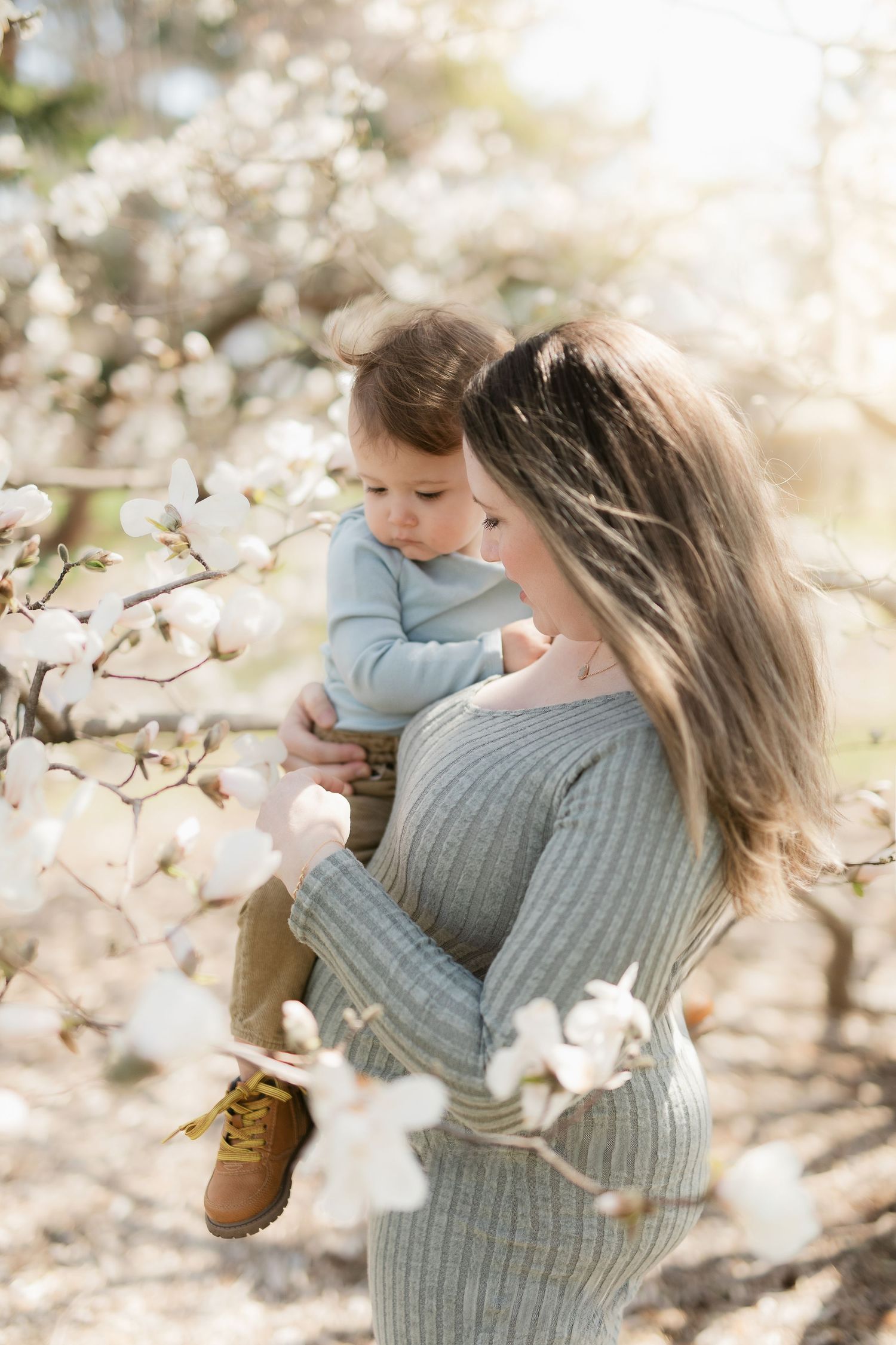 A tender spring moment under blooming white magnolia blossoms with a gray sweater dress in soft sunlight.