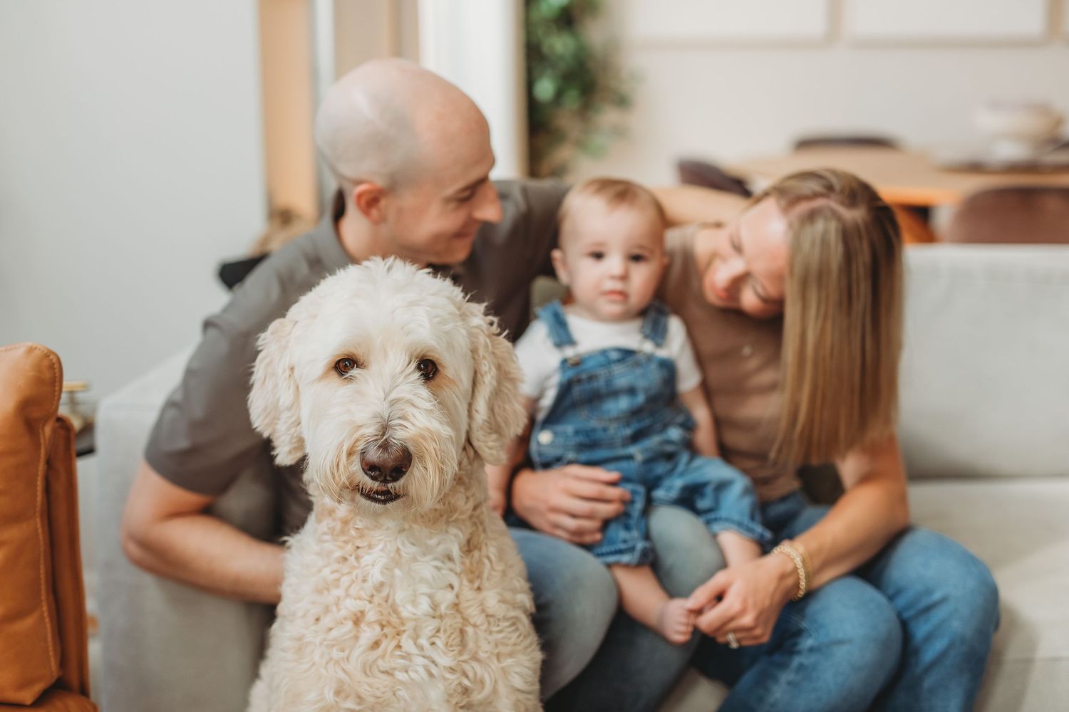 A white goldendoodle dog sits on a couch with family members in a bright living room setting.