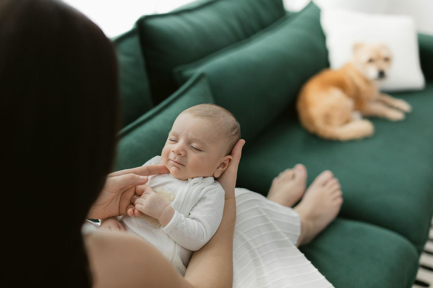 Tender moments captured on comfortable green sofa with infant and pet dog.