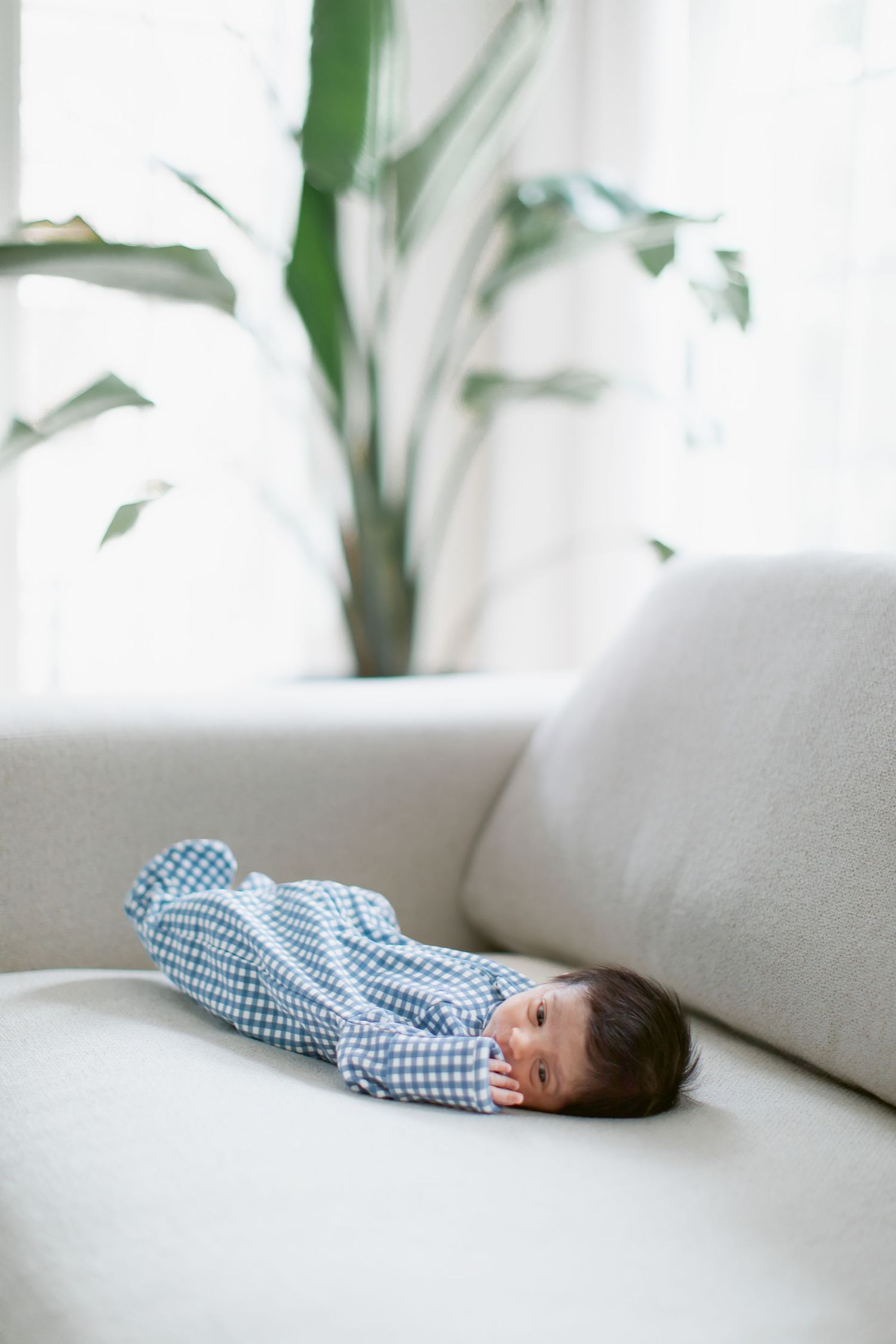 A smiling baby in blue gingham pajamas lying on a cream sofa with a green plant in the background.