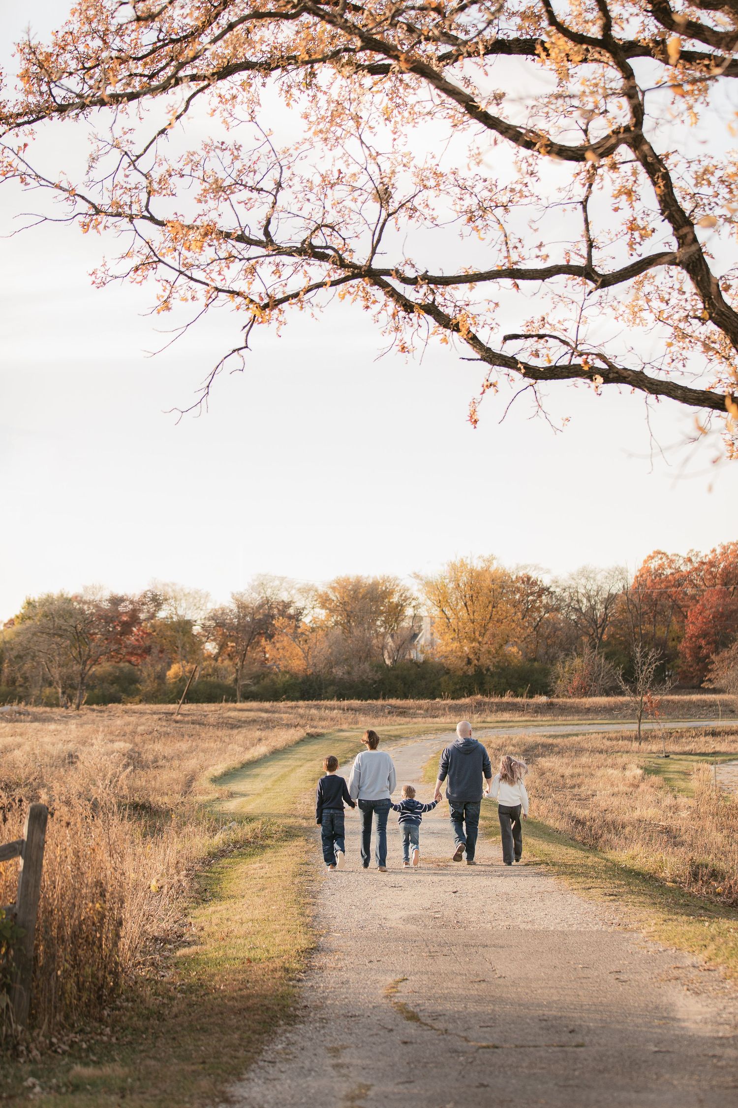 Family walking together on autumn path under blooming cherry blossom trees.