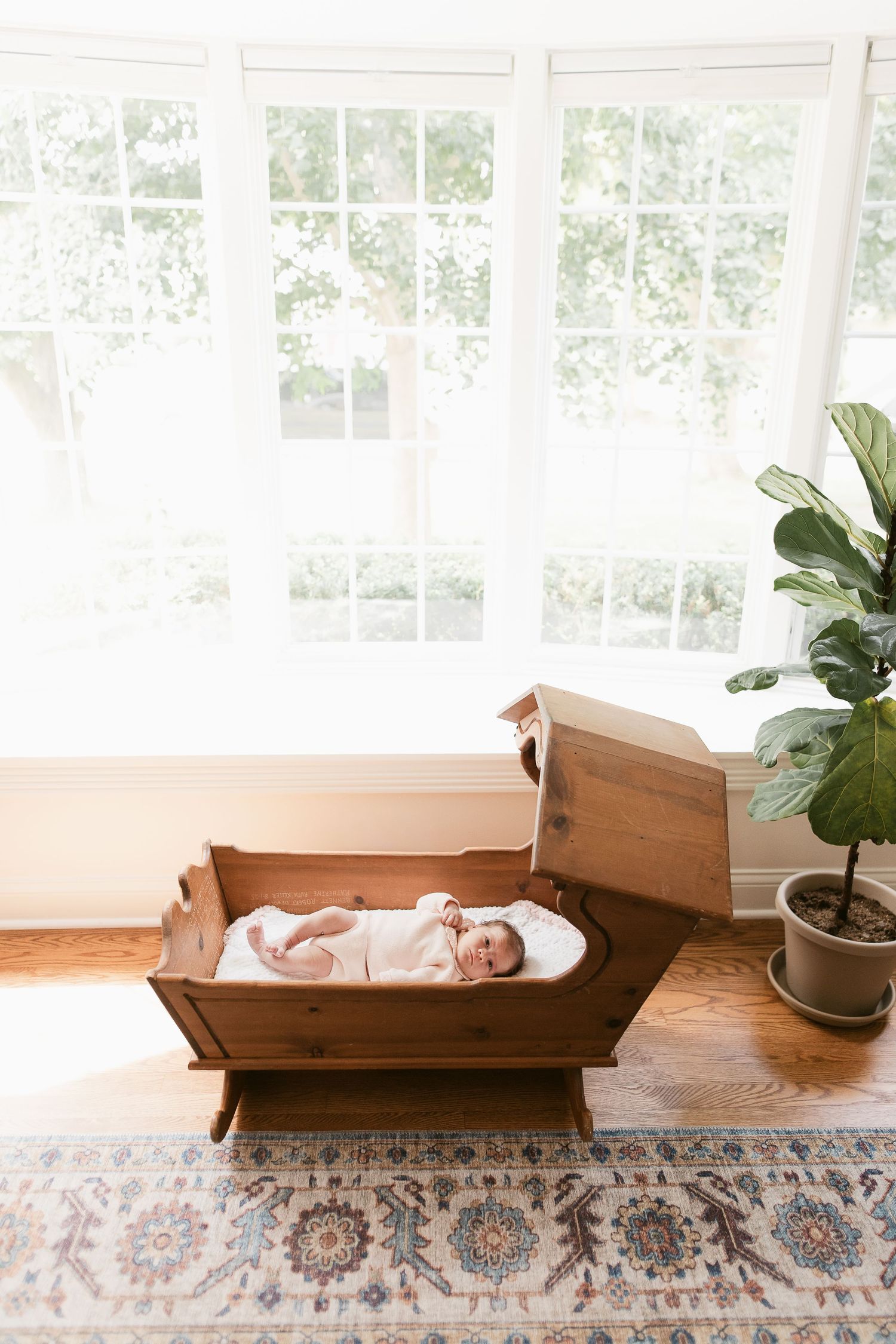 Infant resting in wooden bassinet on patterned rug near large windows with houseplants.