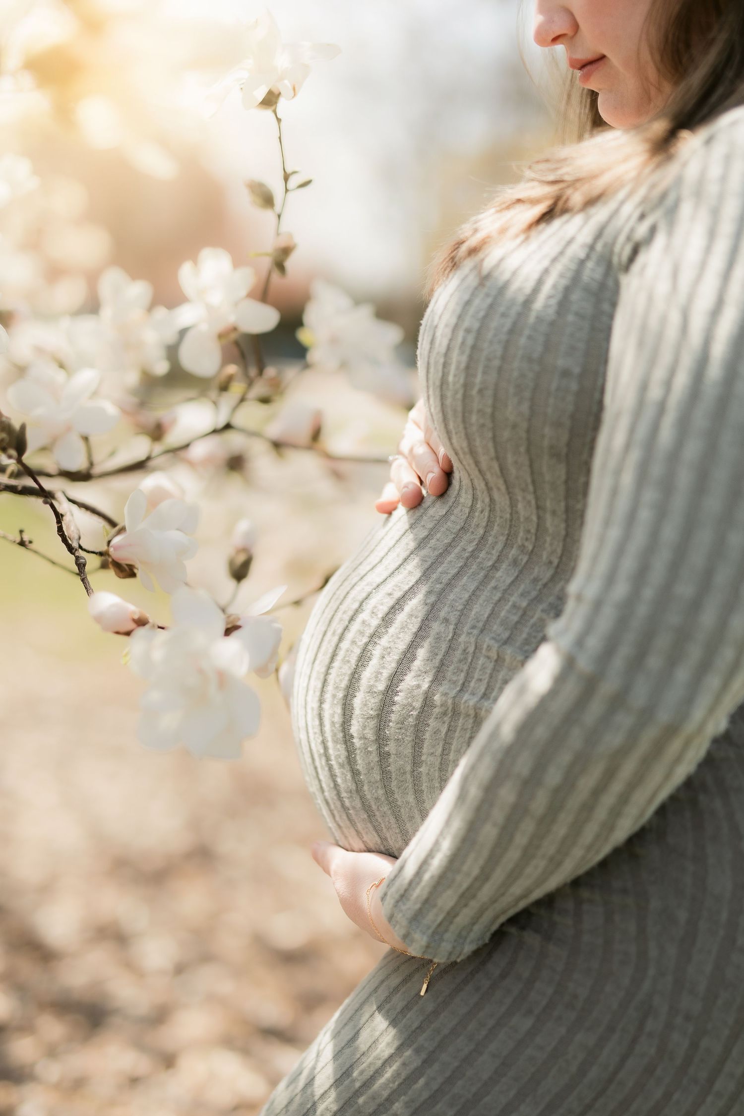 Side view of someone in a gray knit sweater dress cradling pregnant belly near blooming white magnolia flowers in spring.