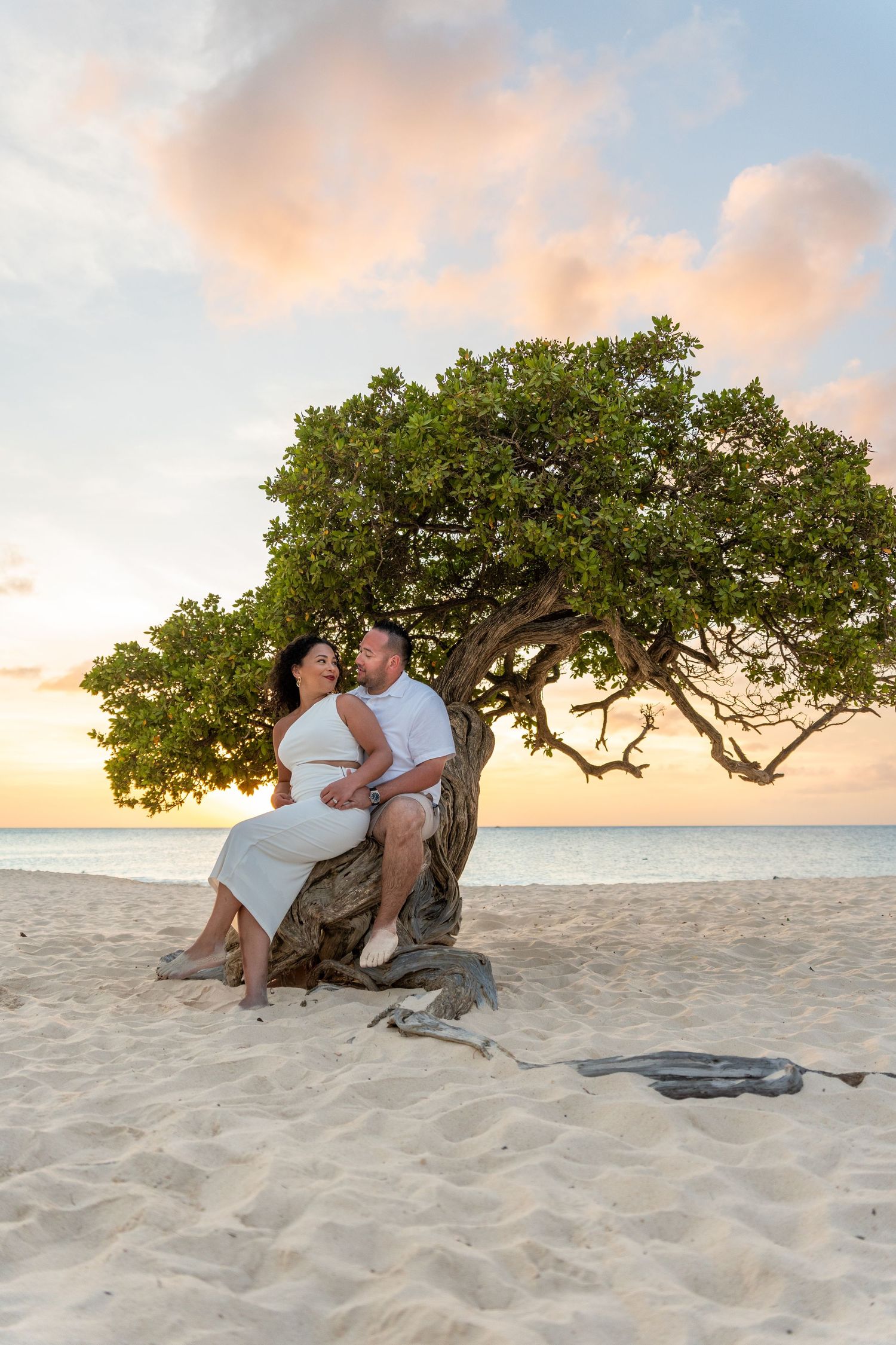 Romantic beach scene with couple sitting under a windswept tree at sunset.