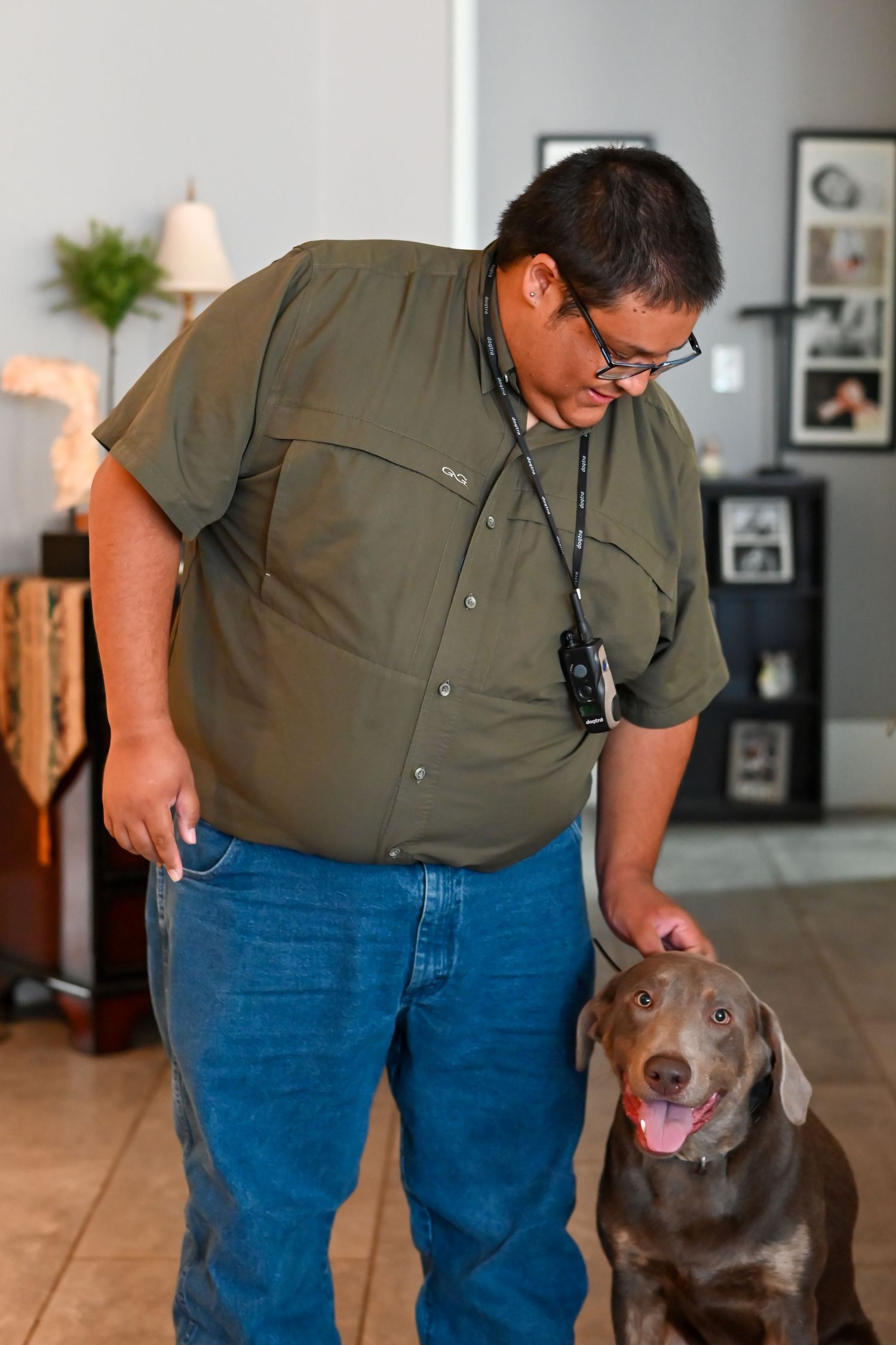 A chocolate lab stands next to someone in an olive shirt and jeans in a bright indoor space.