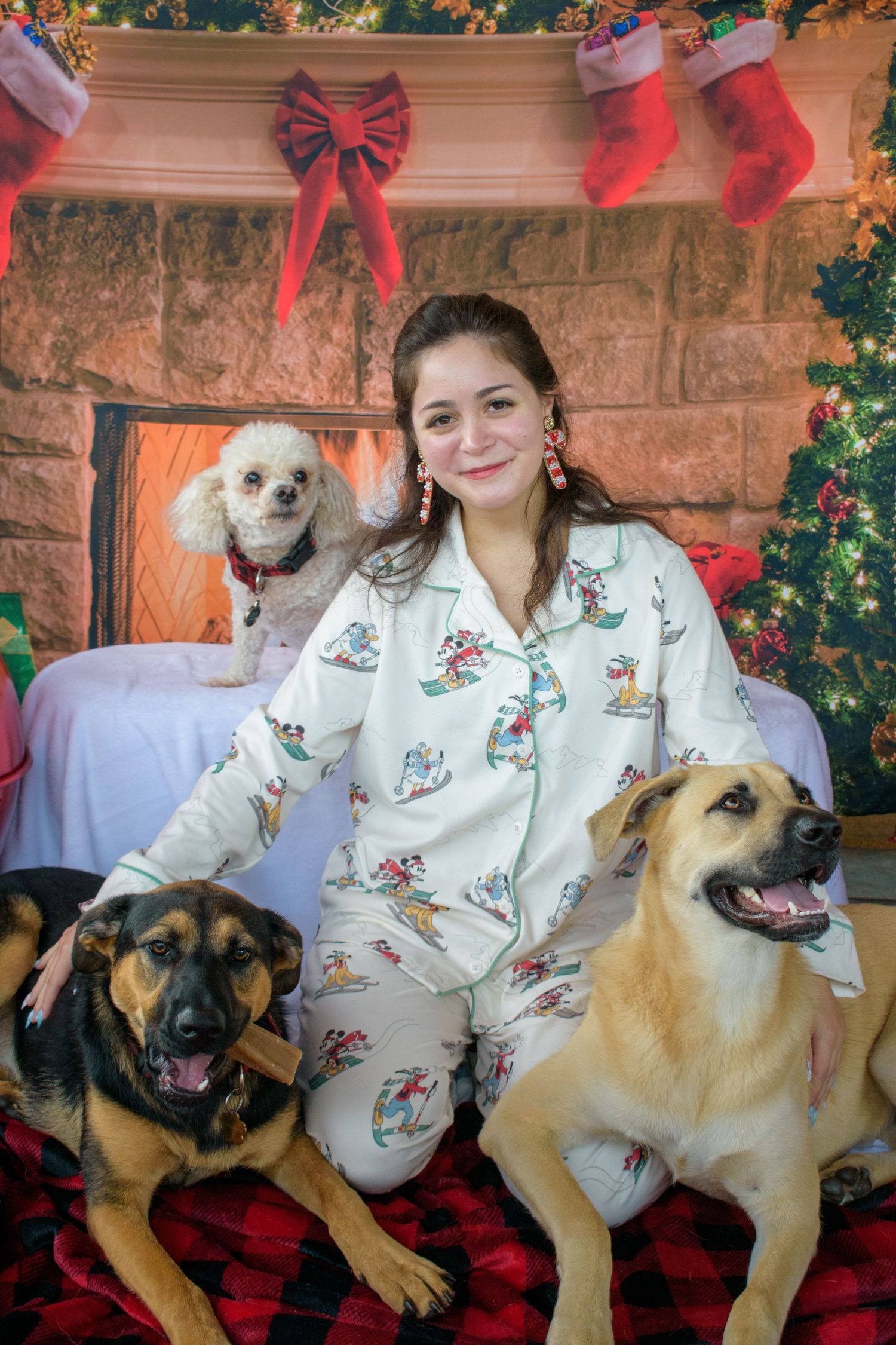 Three happy dogs and their owner pose for a festive Christmas photo with stockings and decorations.