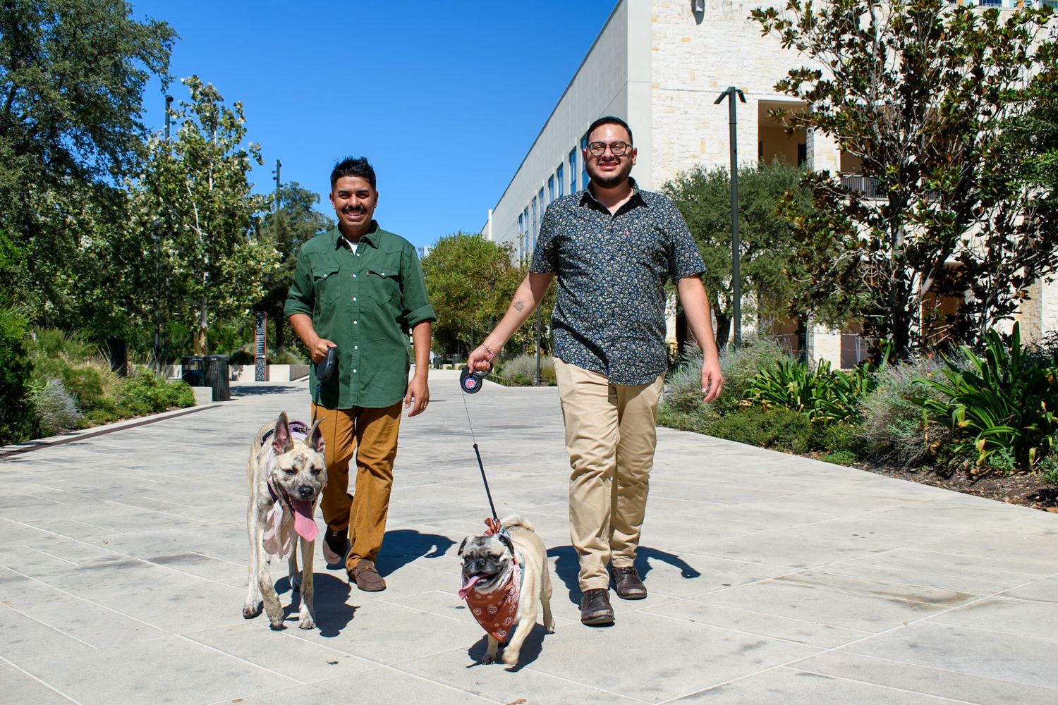 Dog and companions walking together on sunny concrete path.