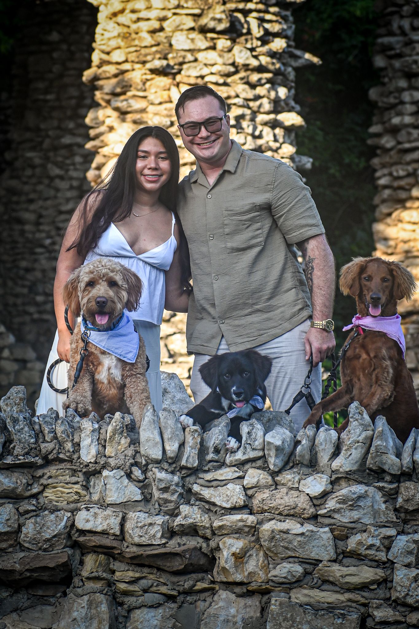 Four dogs and their owners pose together on a rustic stone wall during an outdoor photoshoot.