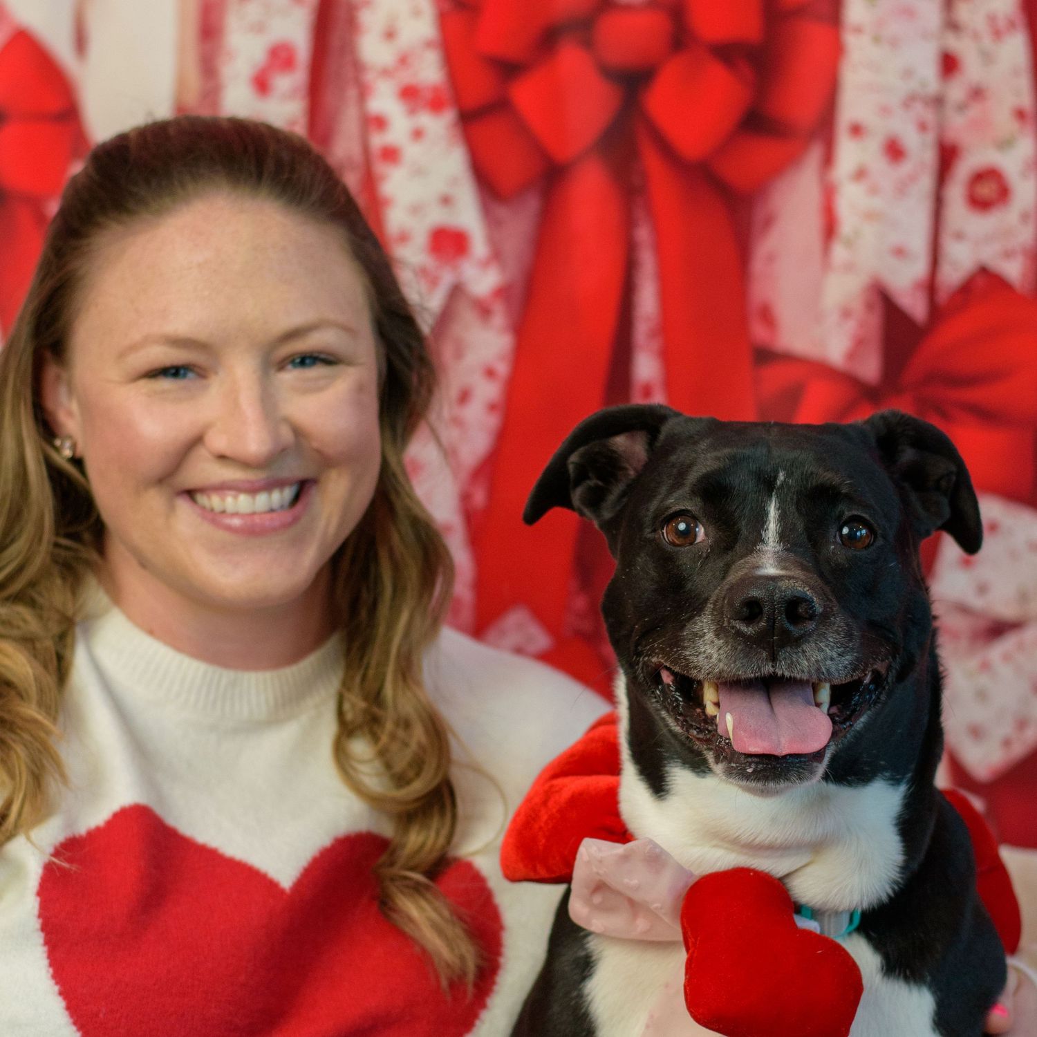 Black and white dog poses with festive red heart decorations and heart-patterned background for Valentine's Day photo.
