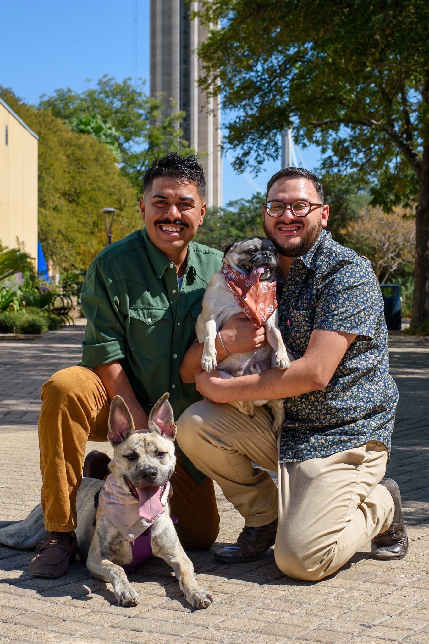 Two people kneel with their two dogs for a cheerful outdoor portrait.