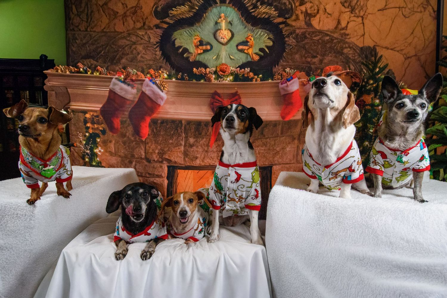 Collection of festive dog ornaments displayed on white surface.