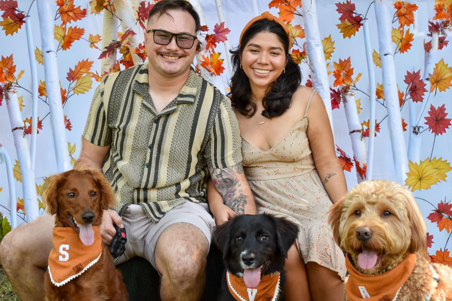Dogs pose in front of autumn-themed backdrop with falling leaves.