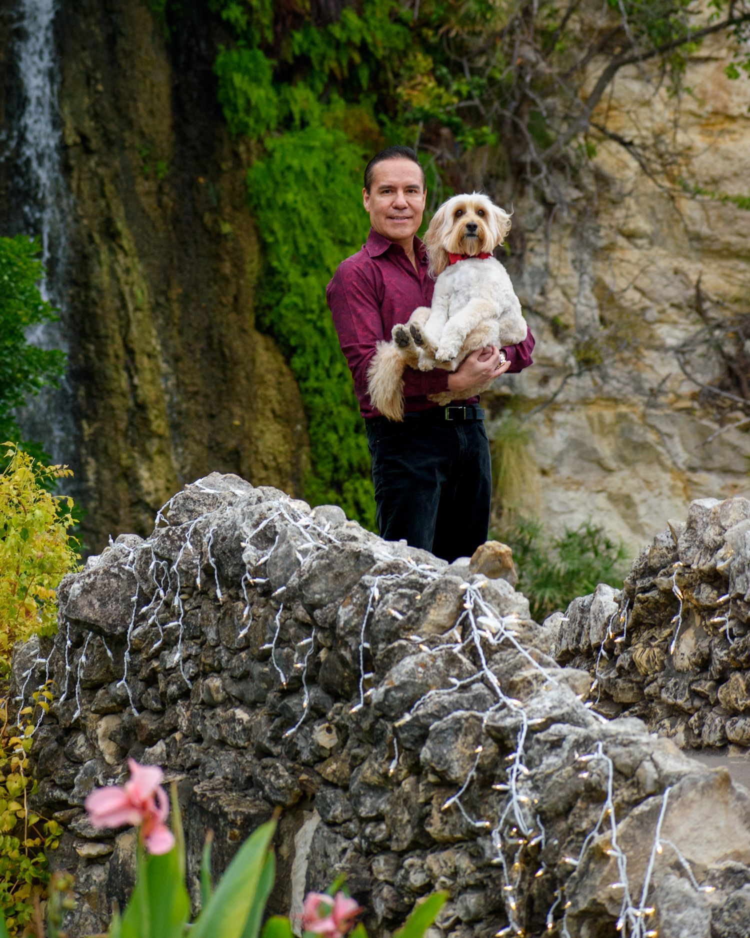 Person holds small white dog while standing near rocky wall with green foliage.