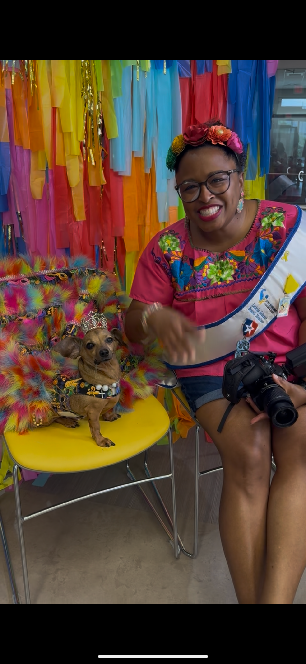 Colorful streamers create vibrant backdrop as photographer captures playful dog on yellow surface with camera.
