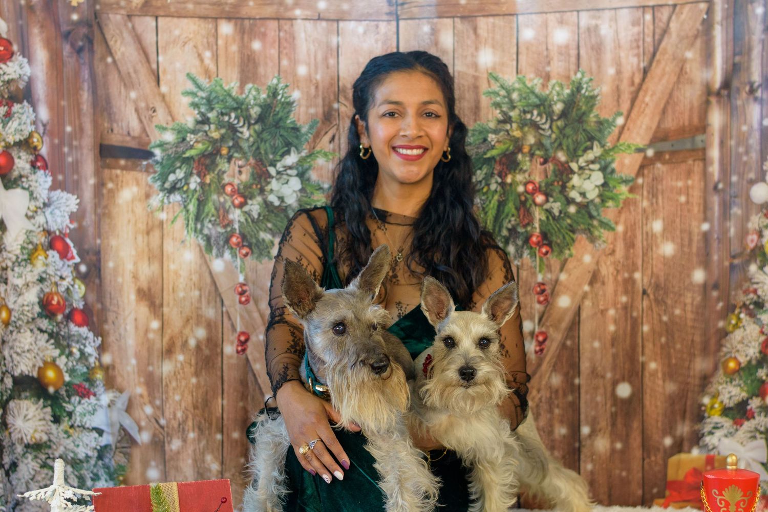 Holiday photo shoot with dogs against a rustic wooden backdrop with twinkling lights.