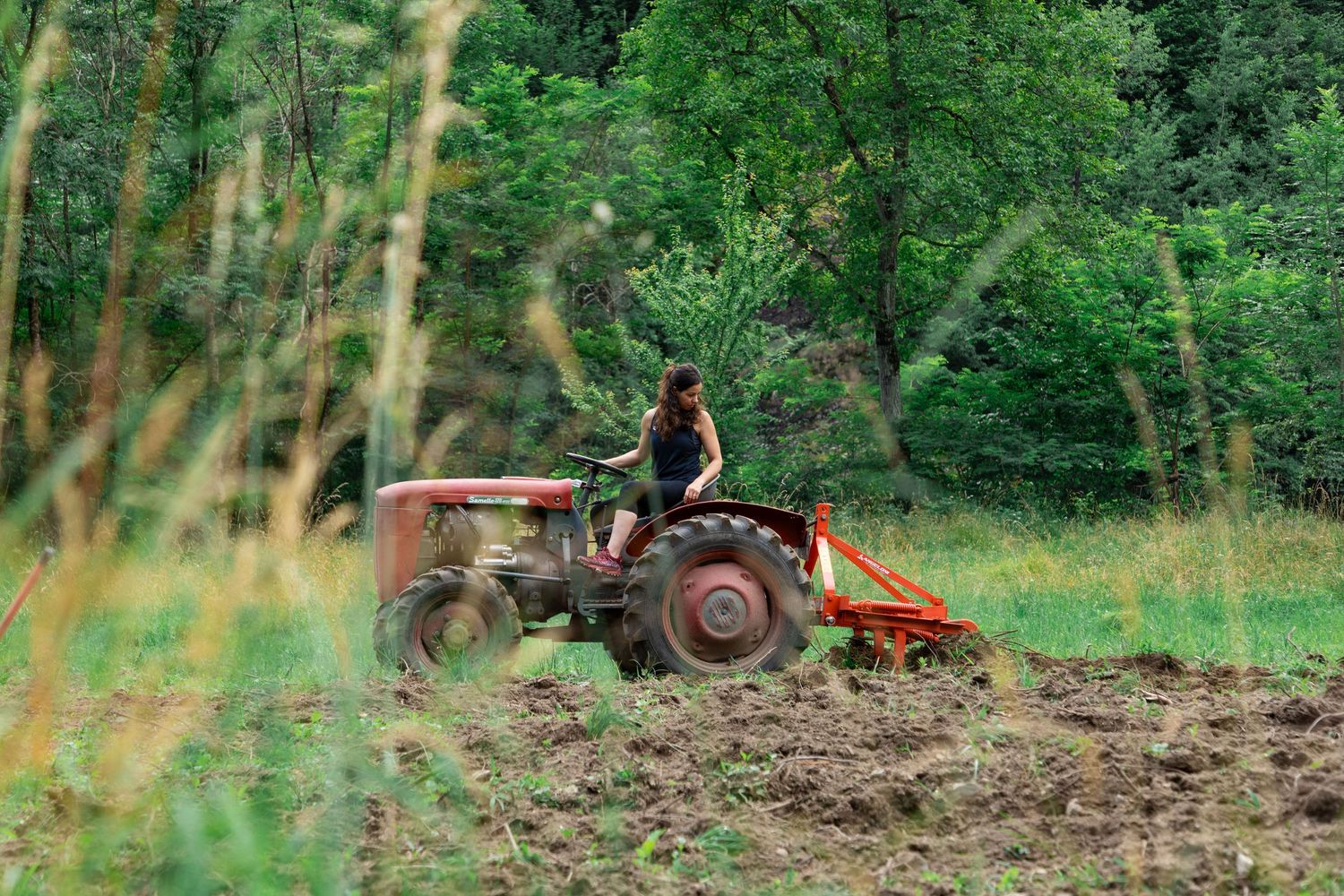 Person driving a vintage red tractor plowing a field surrounded by lush green trees.