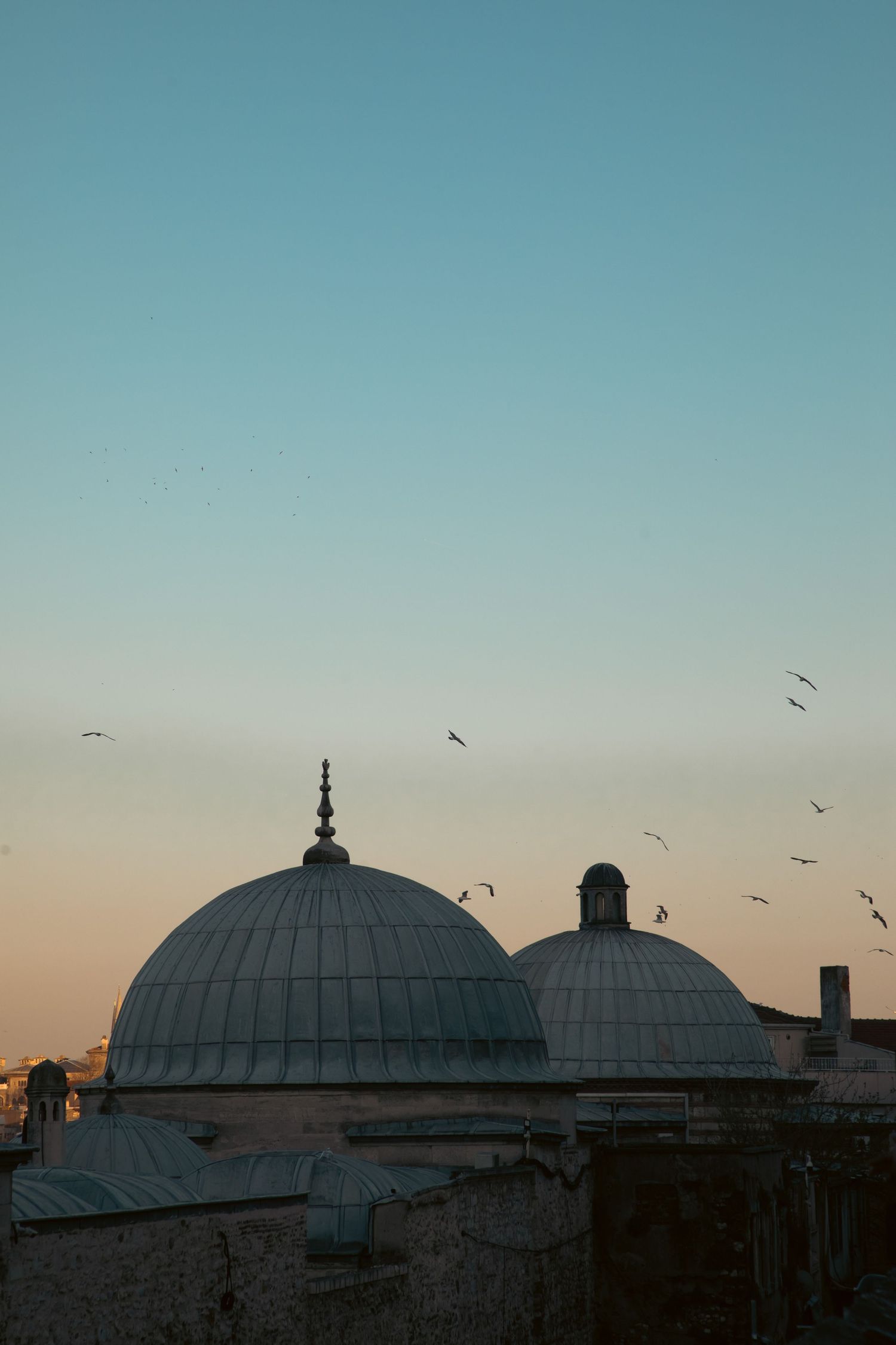 Two white mosque domes silhouetted against a blue and orange sunset sky with seagulls flying overhead in Istanbul.