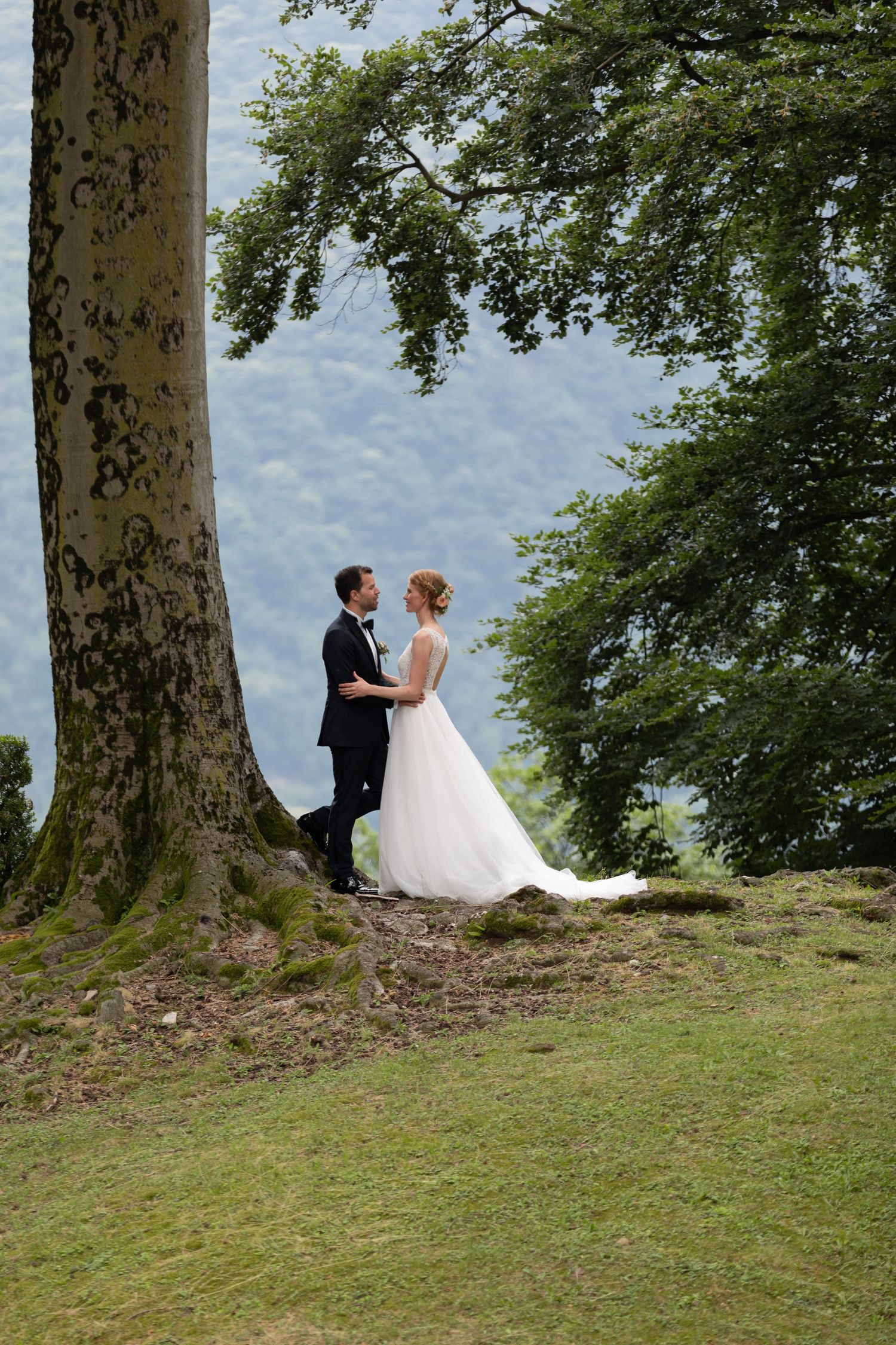 Newlyweds embrace tenderly beneath a large ancient tree on a green hillside with mountain scenery.
