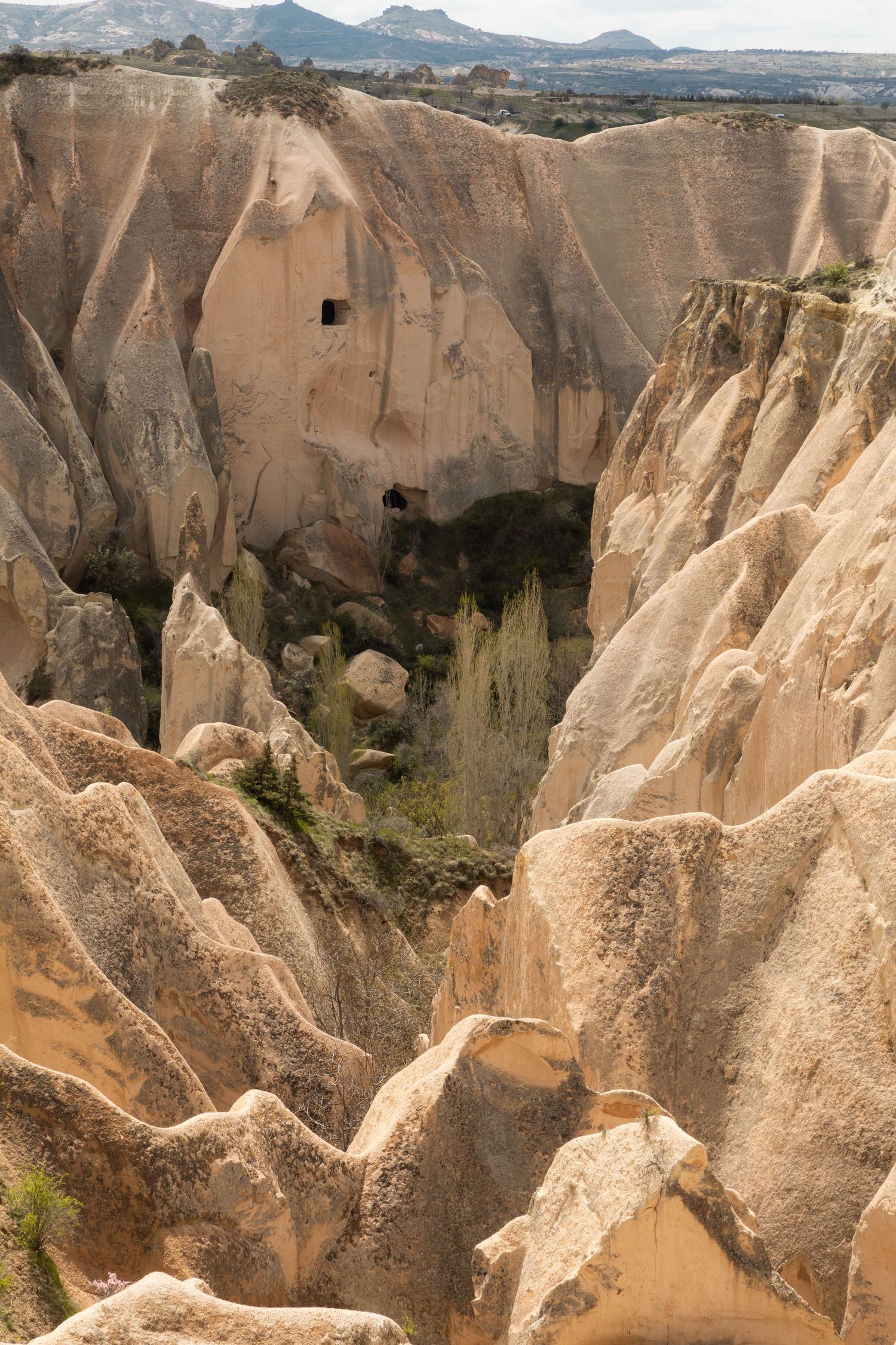 Deep canyon with tall eroded tufa rock formations and cave dwellings carved into cliffs in Cappadocia.