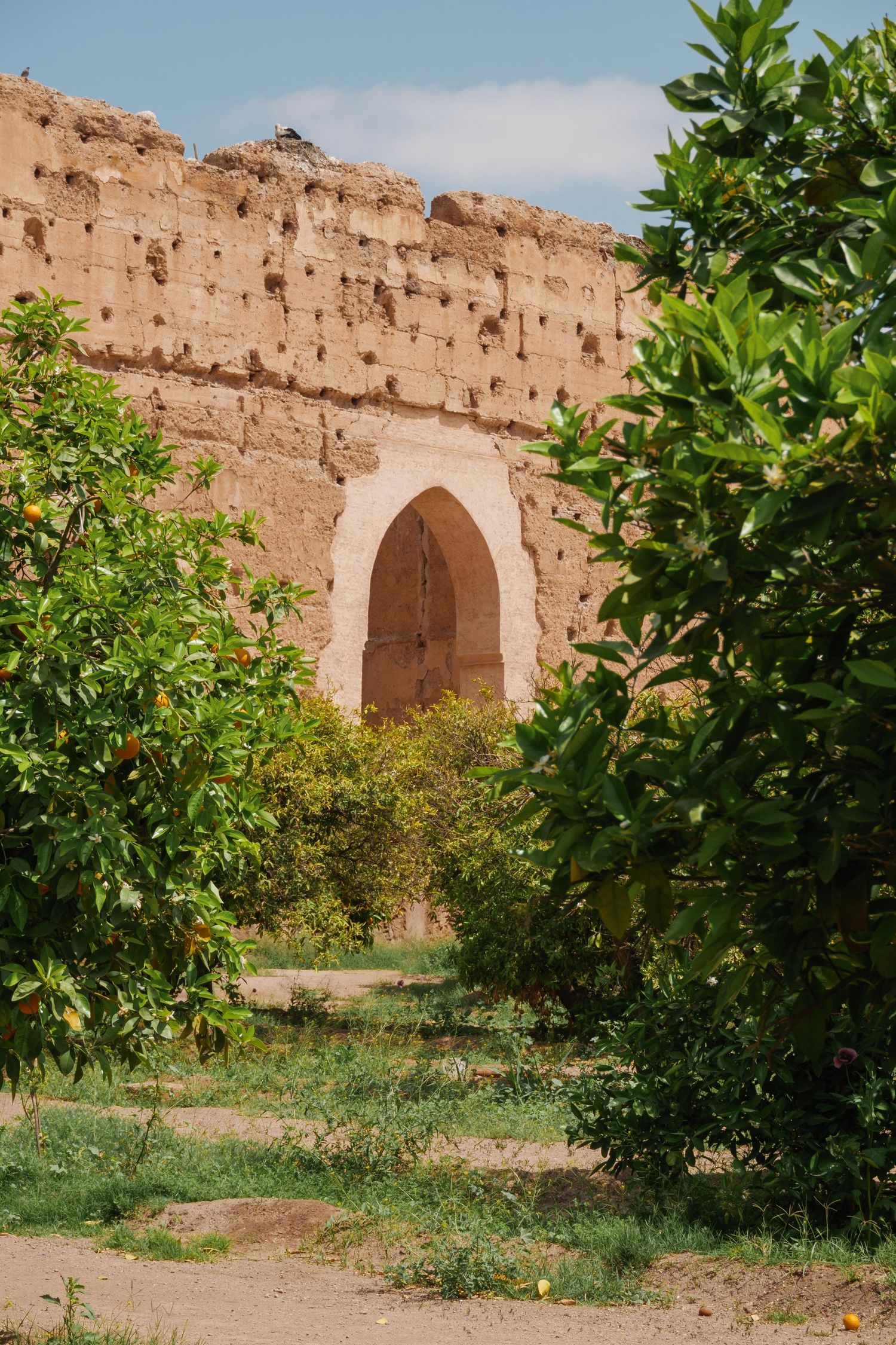Ancient ruined arch of El Badi Palace framed by lush orange trees in Marrakech, Morocco.