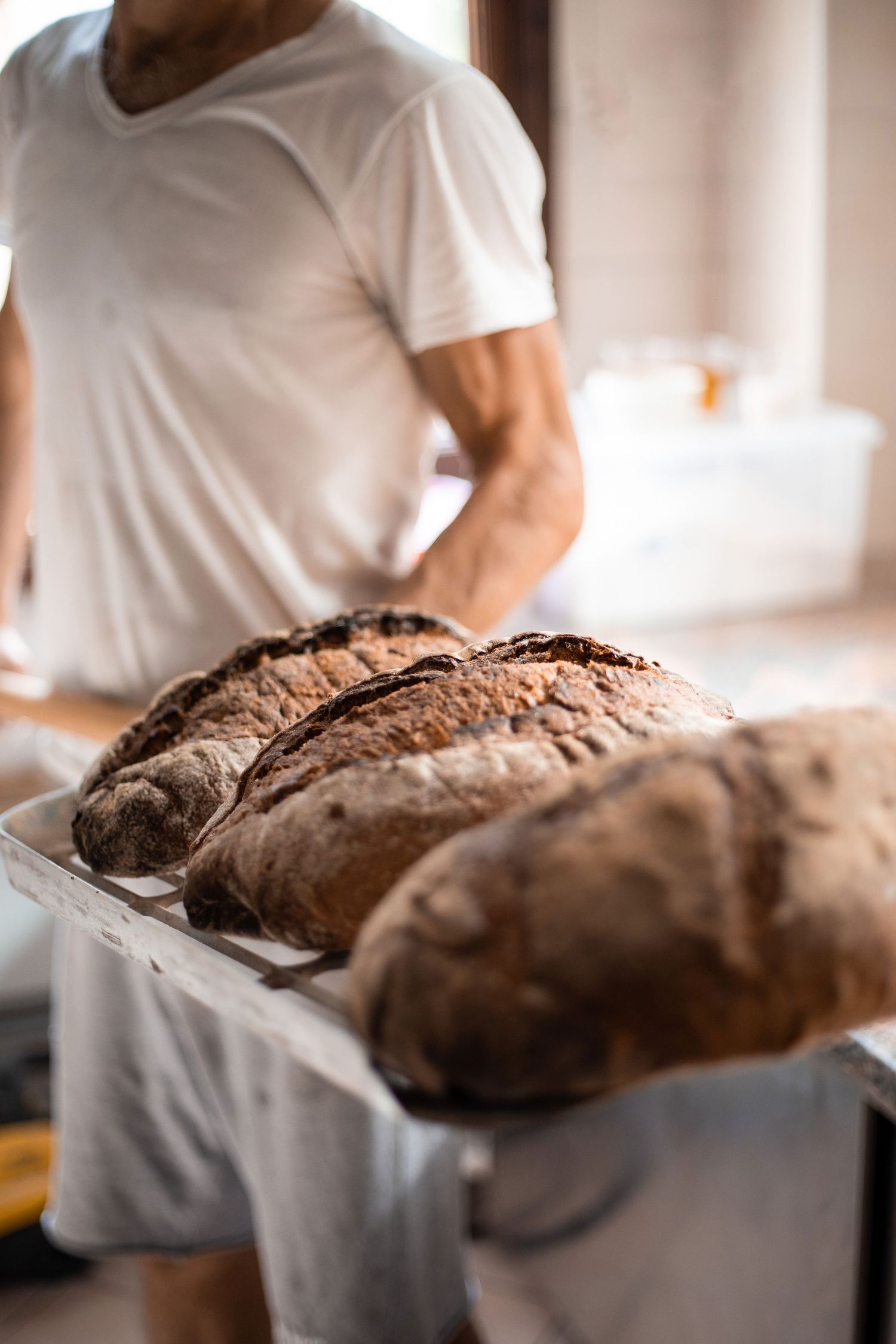 Baker in white t-shirt holding wooden tray with three freshly baked rustic sourdough bread loaves.