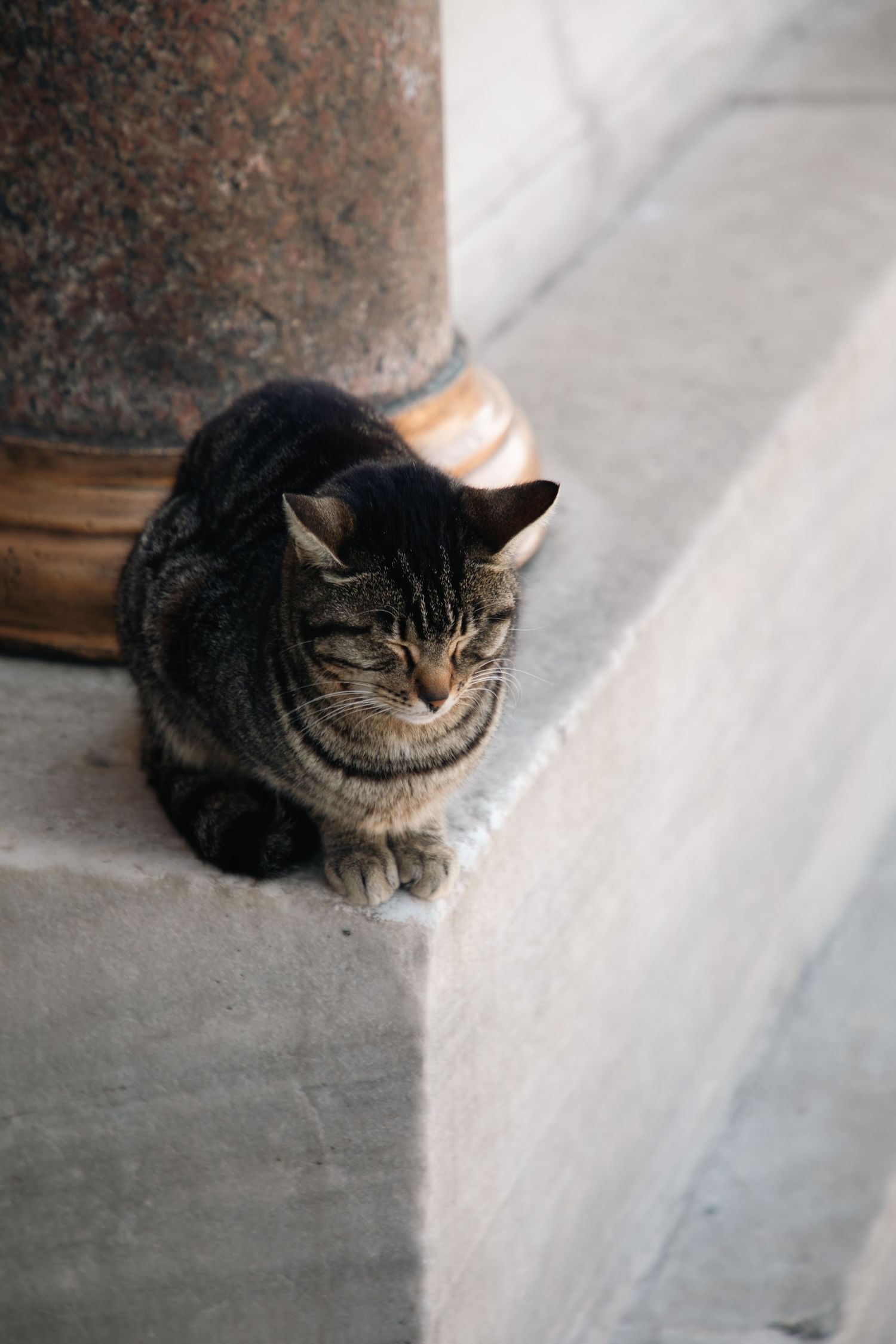A tabby cat resting beside a marble column base on stone steps in Istanbul, Turkey.