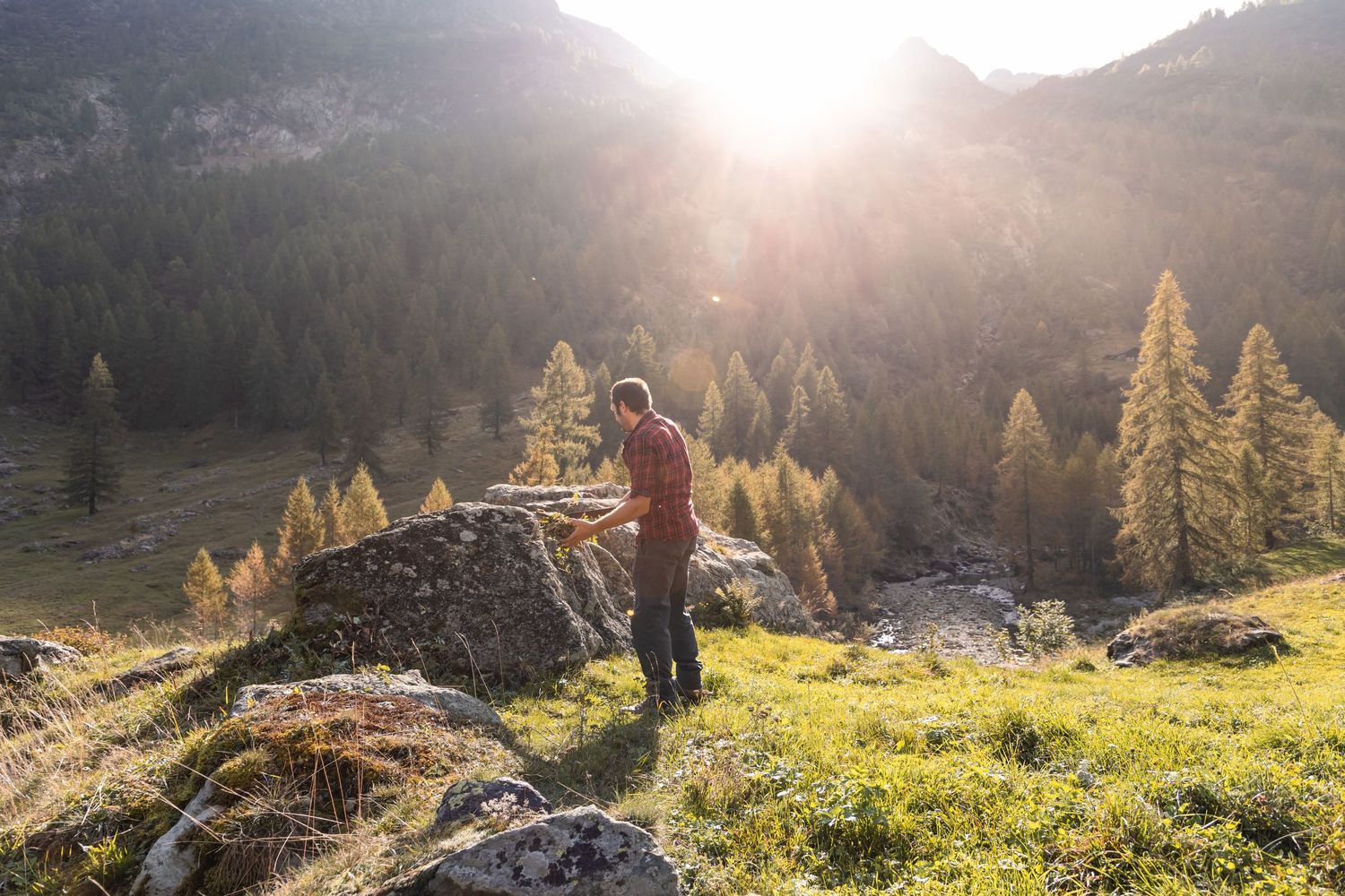 Person standing beside a large boulder in a sunny mountain landscape with golden autumn trees at sunset.