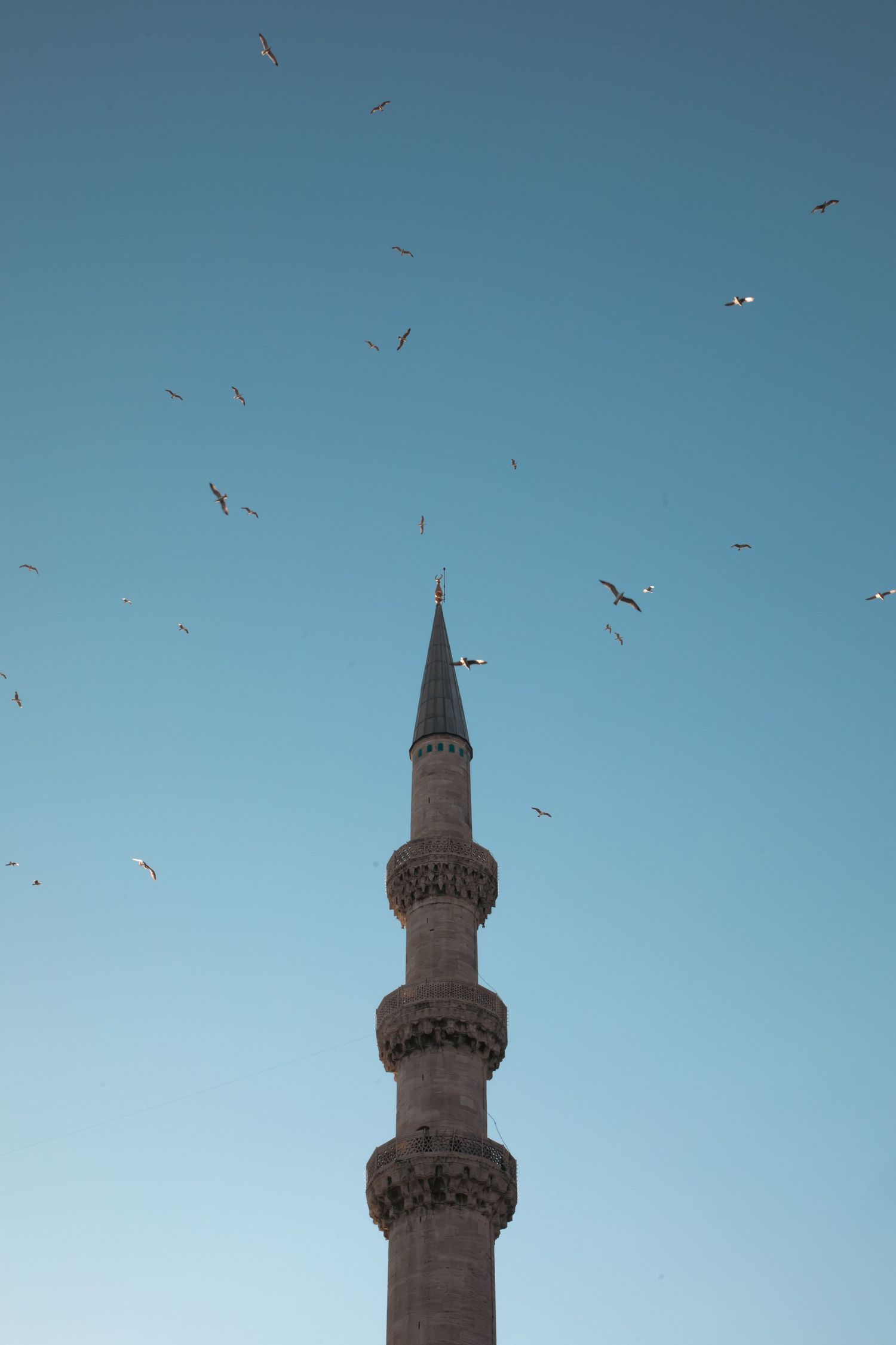 A tall minaret of the Blue Mosque in Istanbul silhouetted against a clear blue sky with seagulls.